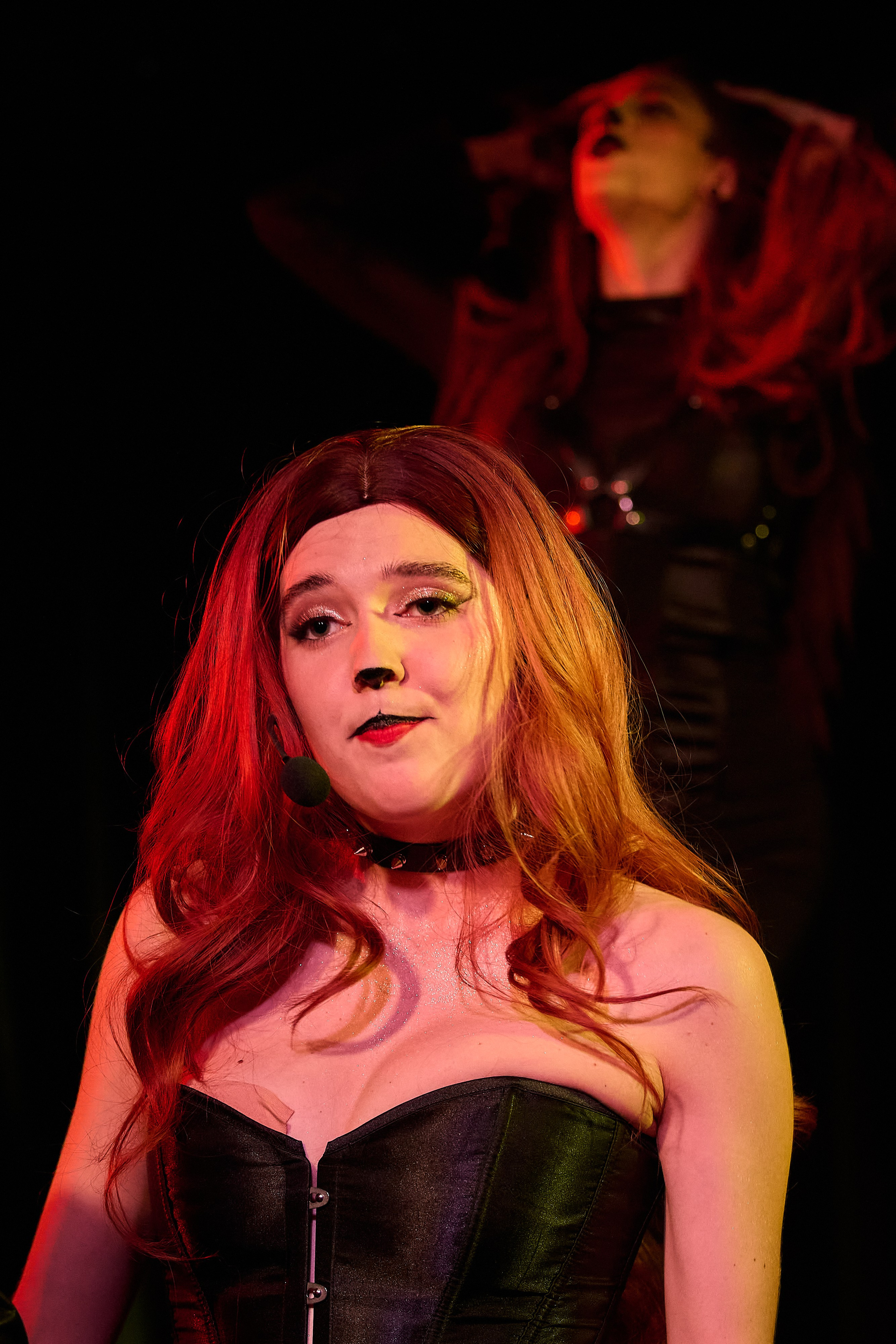 Мюзикл Перромания