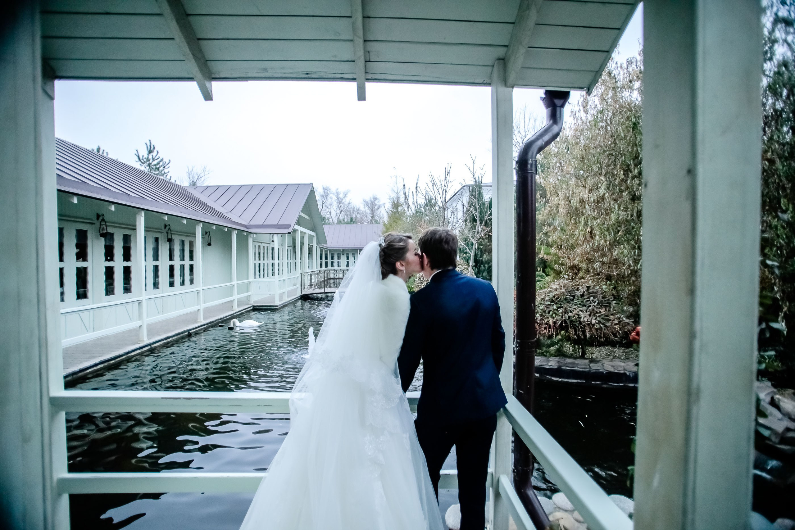 Прогулка/Walk. Максим Матвийченко и Виктория Басова профессионалы своего дела