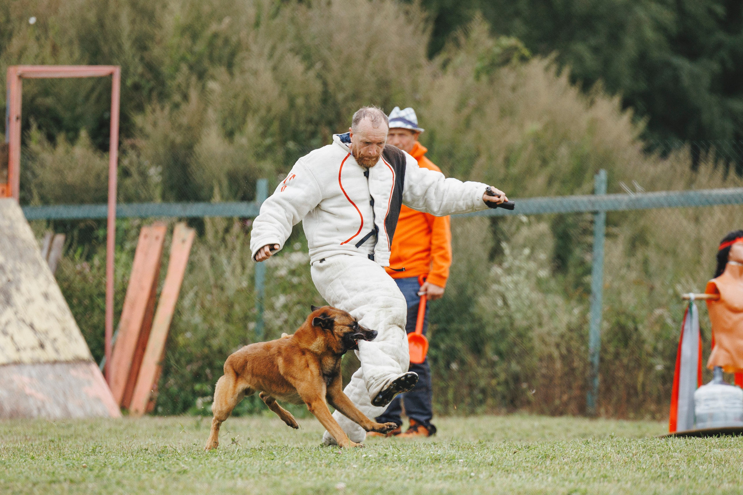08.08.25-10.08.25 ЧР по мондьорингу г. Вологда. Фотограф-анималист Анна Маринич