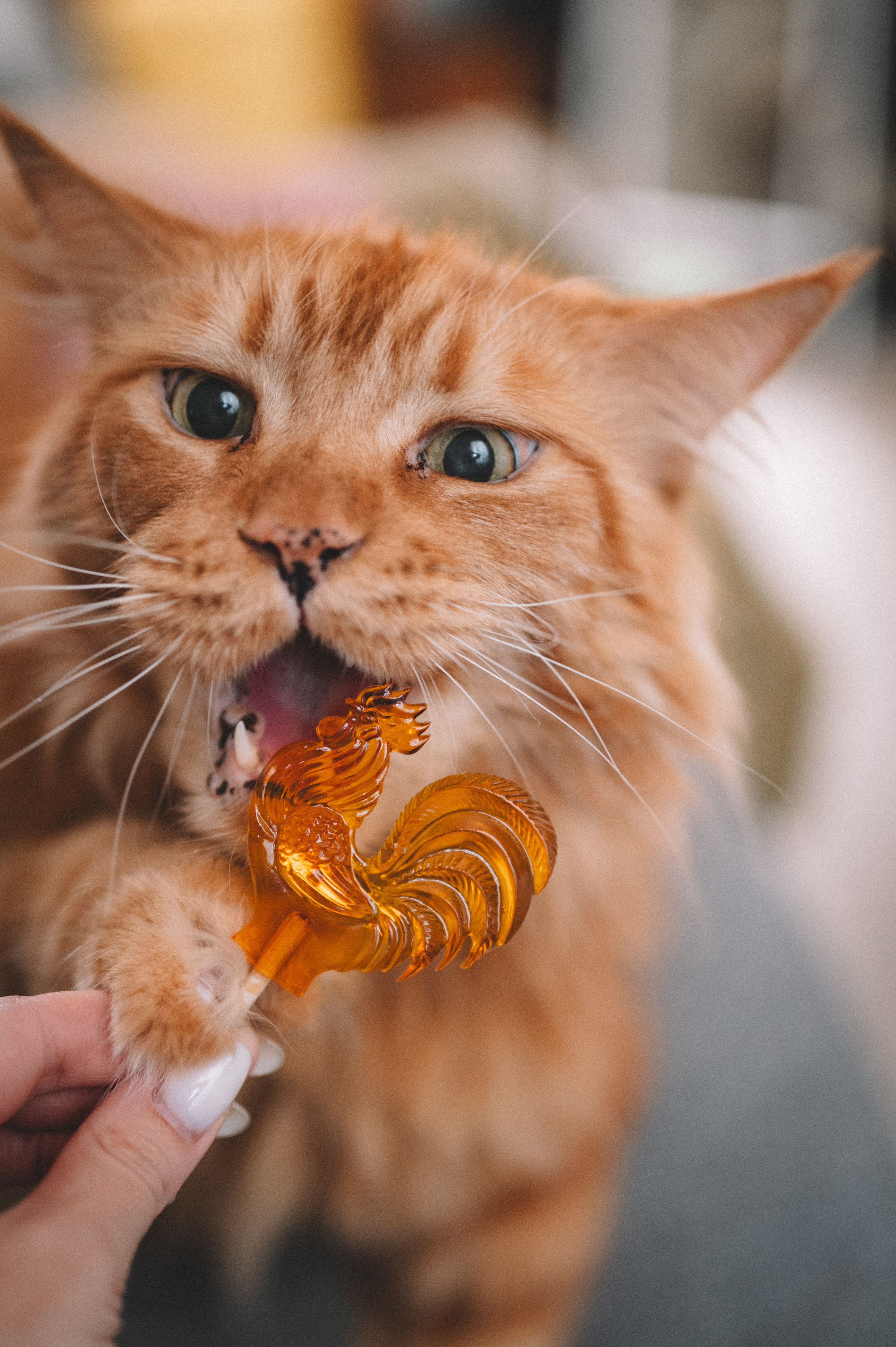 Броши от КастомФил. Фотограф Анна Темнова. Пенза