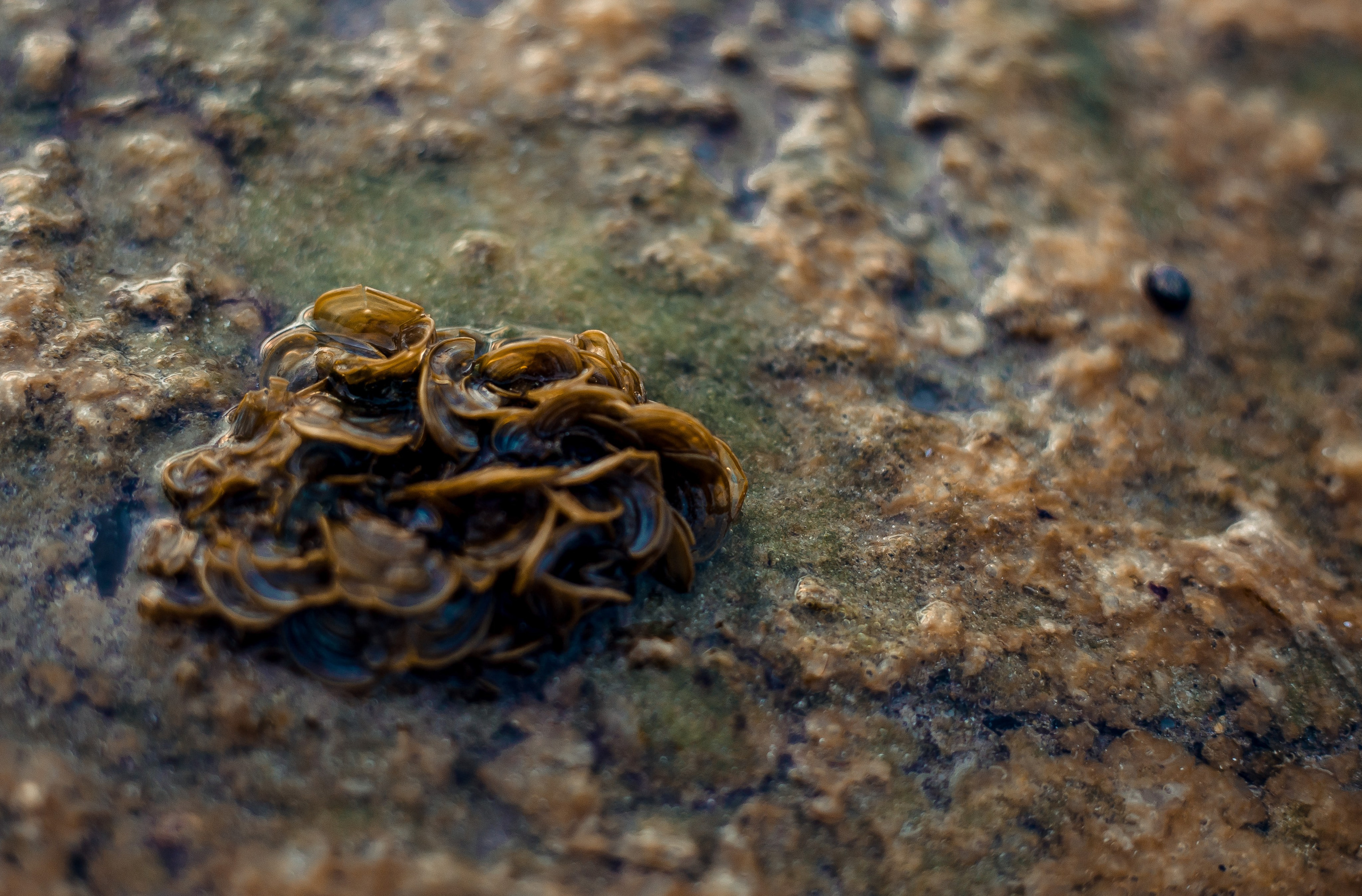 Thailand 2023, Samui. Art Photographer