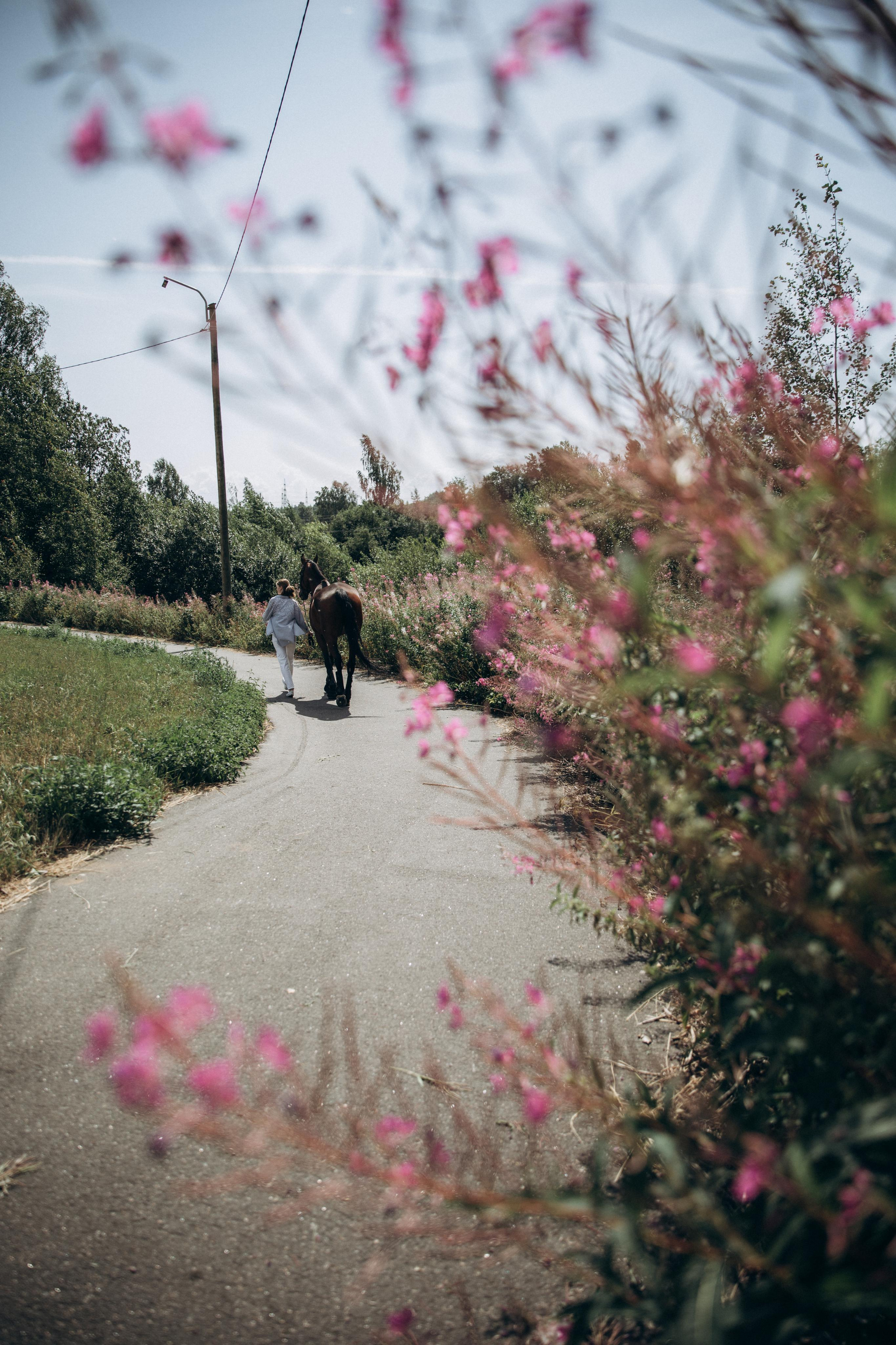 Вероника. Фотограф|Александрова Алина|Санкт-Петербург