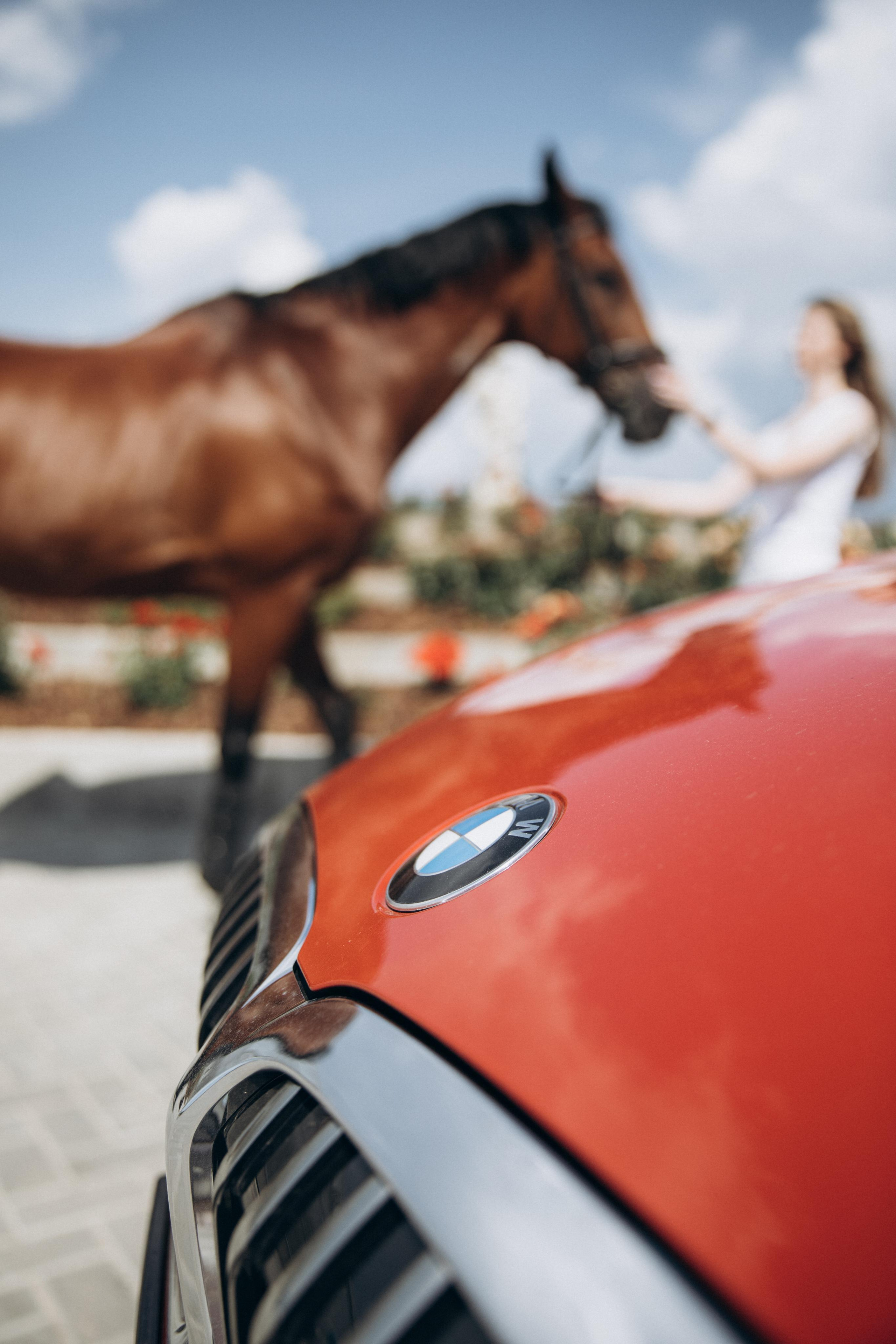 Вероника. Фотограф|Александрова Алина|Санкт-Петербург