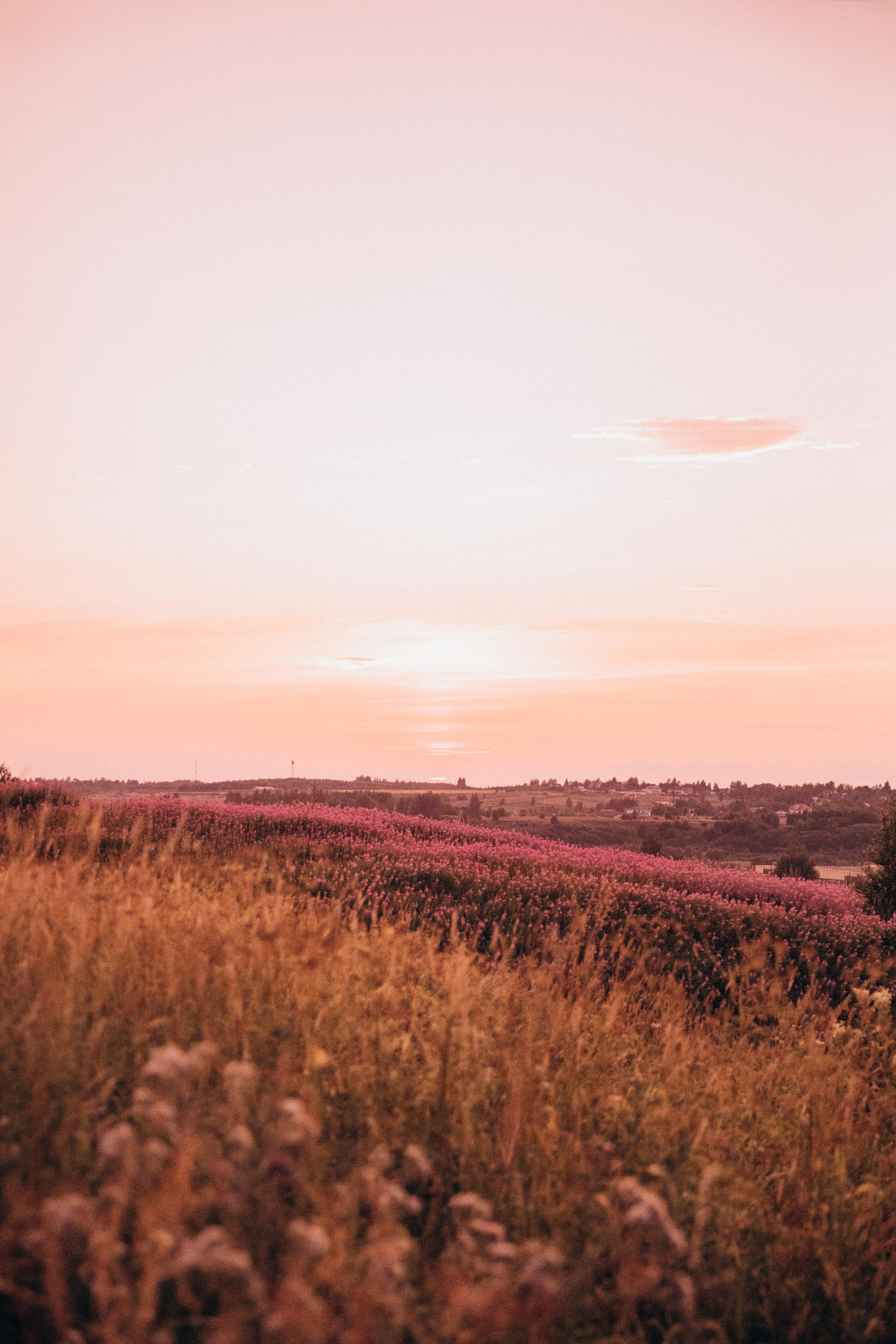 Настя и Миша. Фотограф|Александрова Алина|Санкт-Петербург