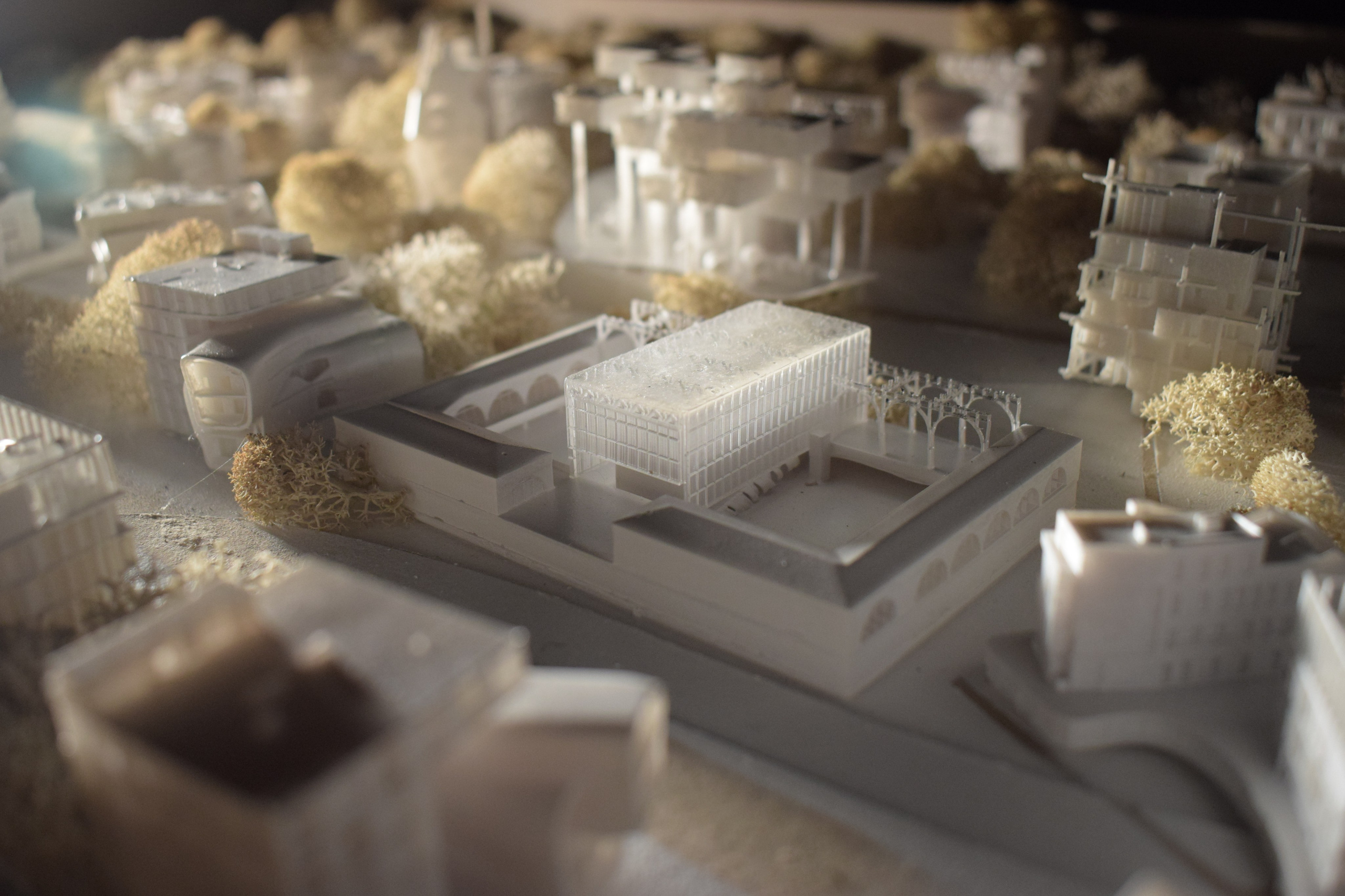 Курсовой макет поселка для студентов МАРХИ часть3. 3D печать