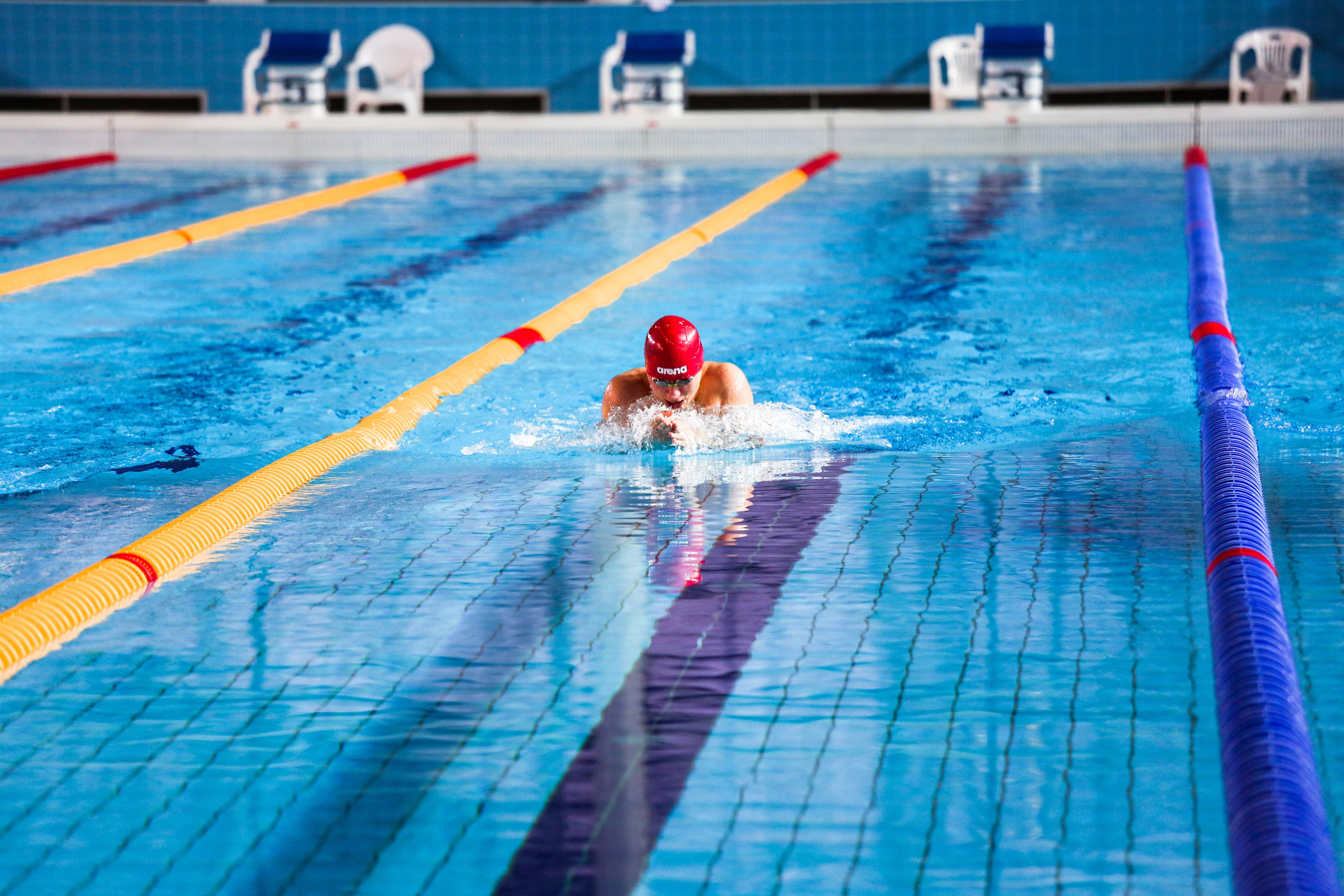 Соревнования по плаванию. Репортажный, семейный, свадебный, портретный фотограф