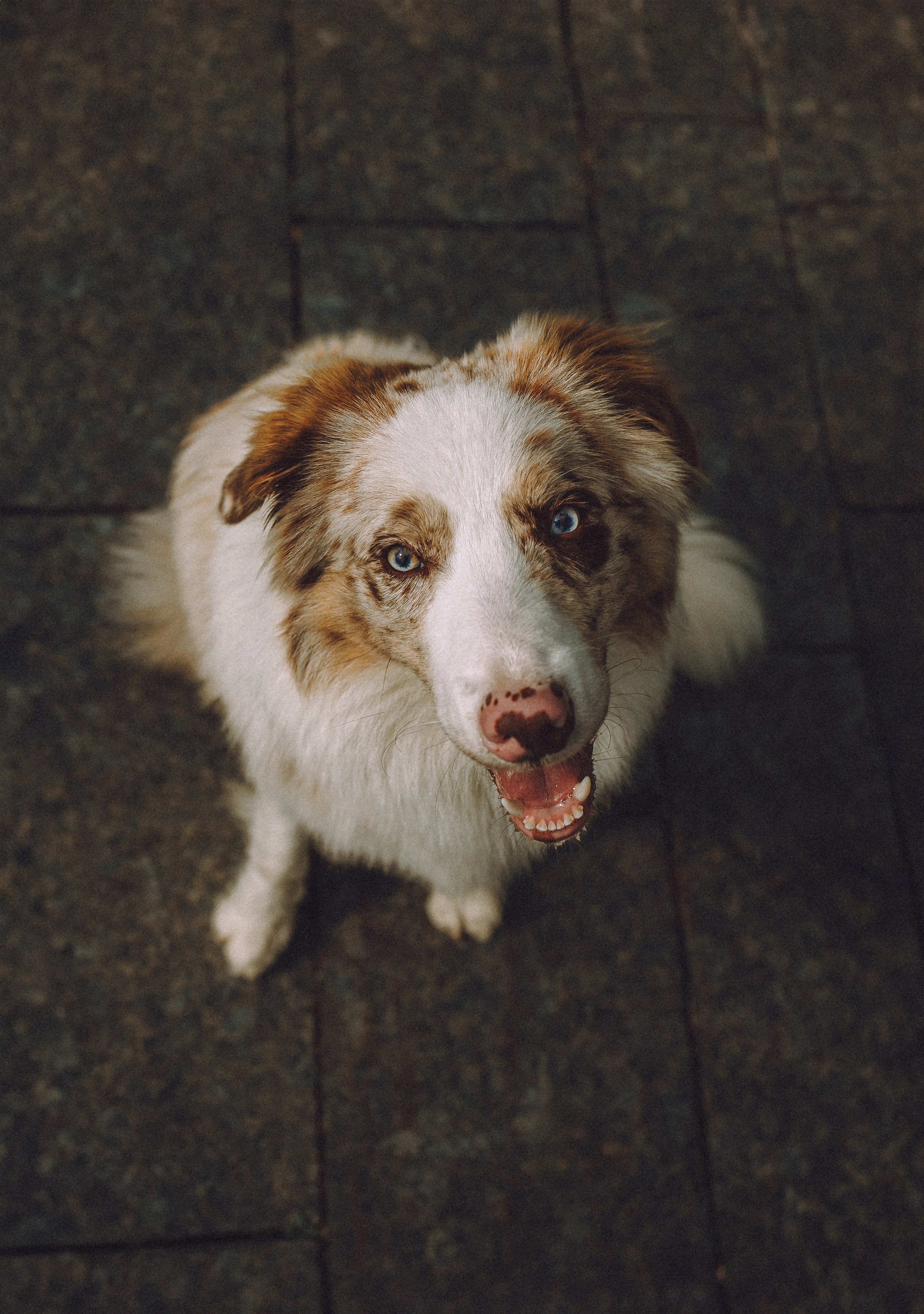 Один и его семья