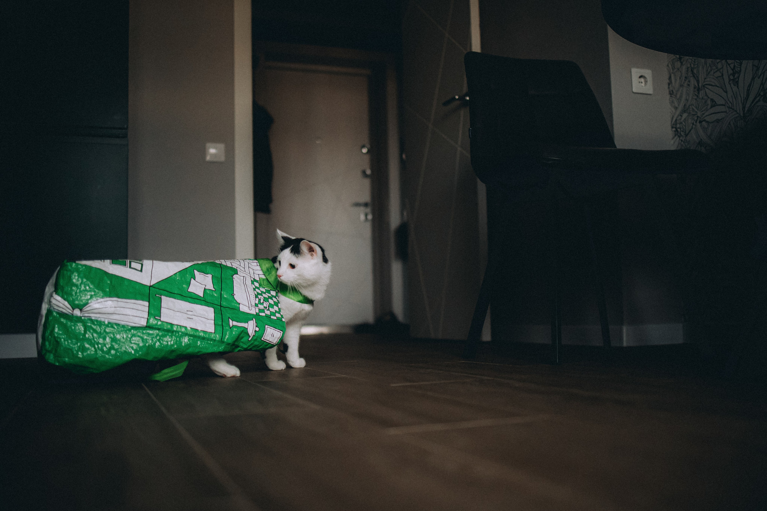 Рыся, Кепа и их семья