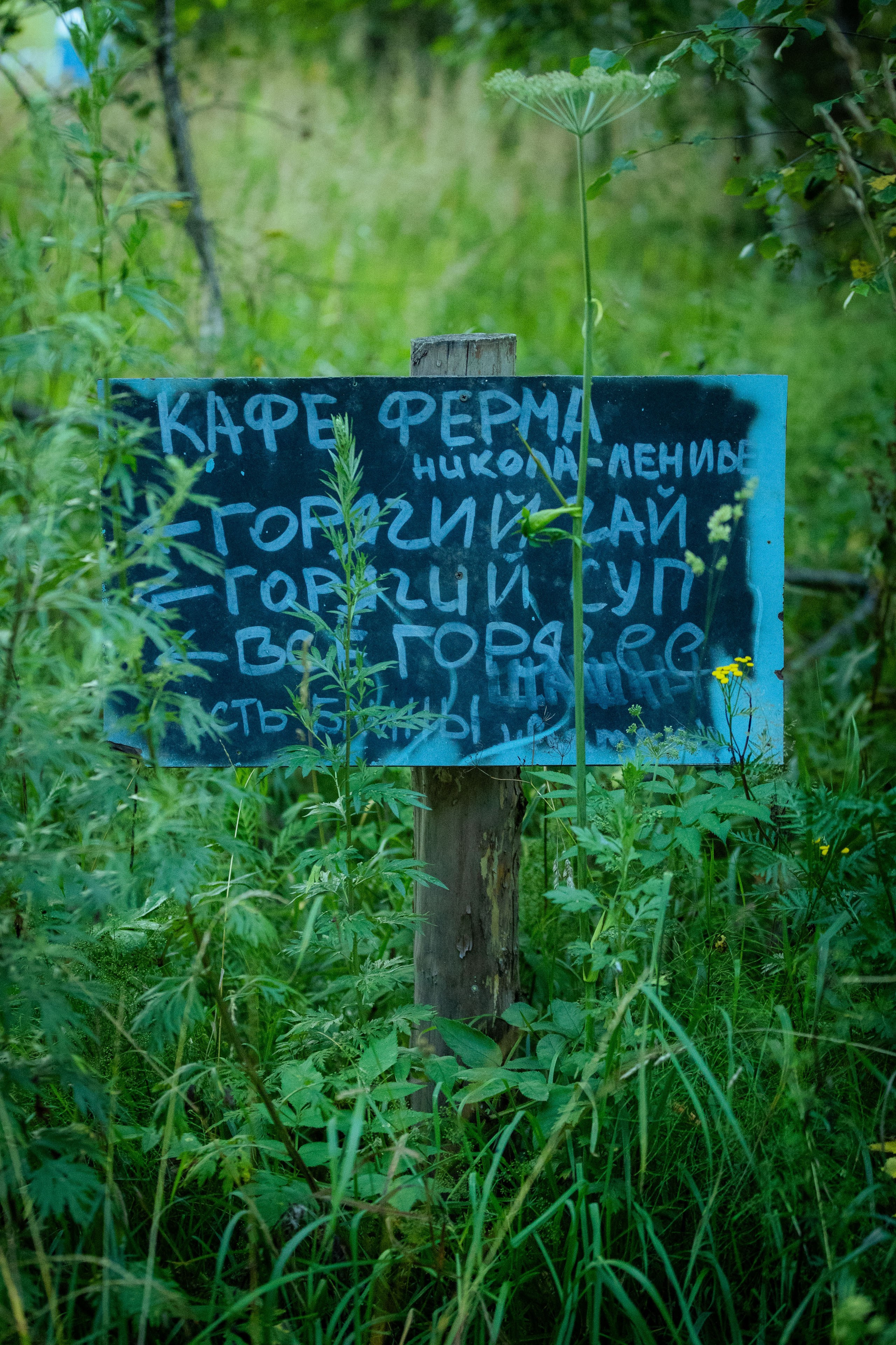 Архстояние 25–27 июля 2025. Фотограф Виноградов Константин