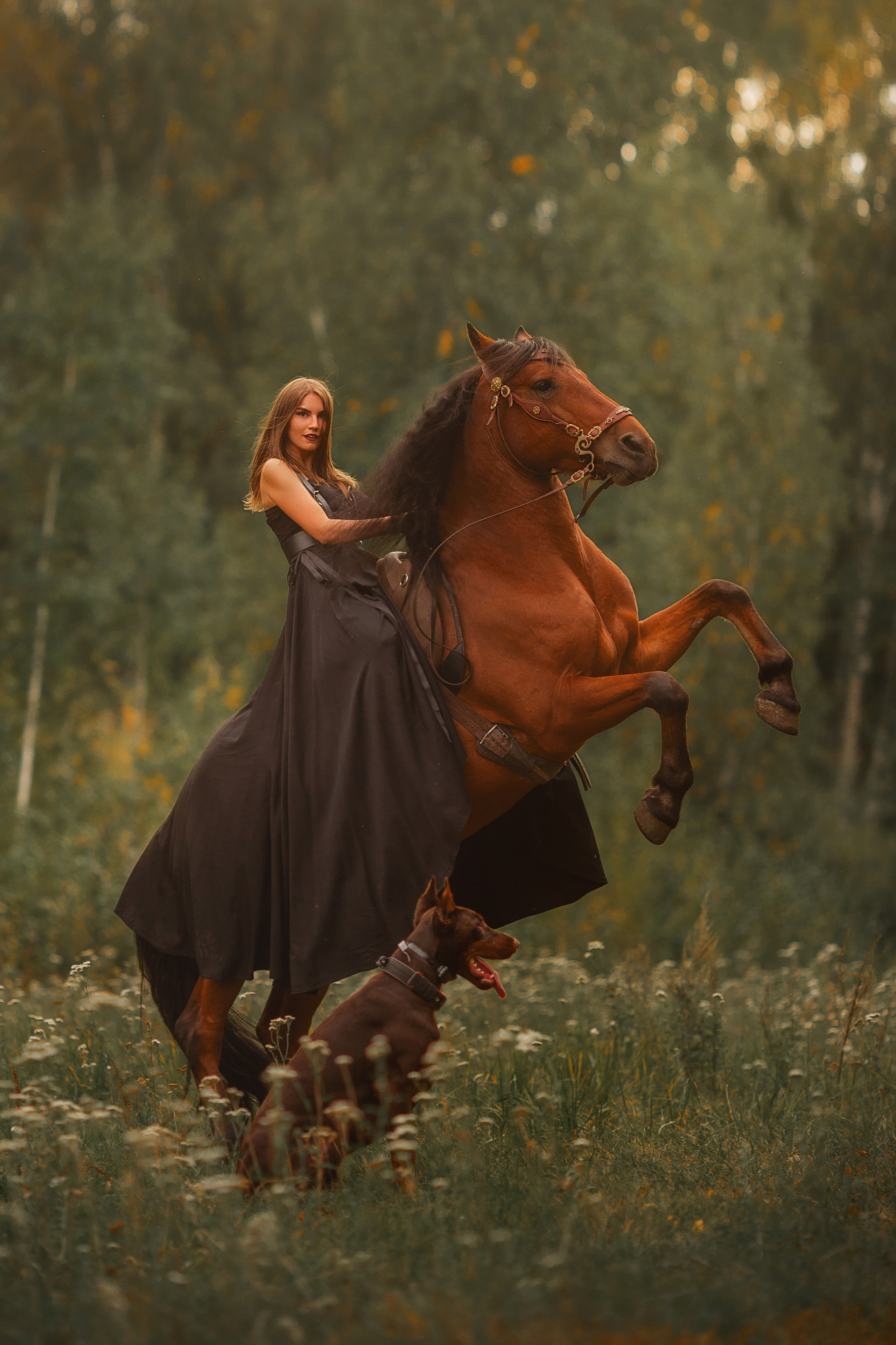 Анна Молчанова конный фотограф в Тюмени | фотосессии с лошадьми Тюмень