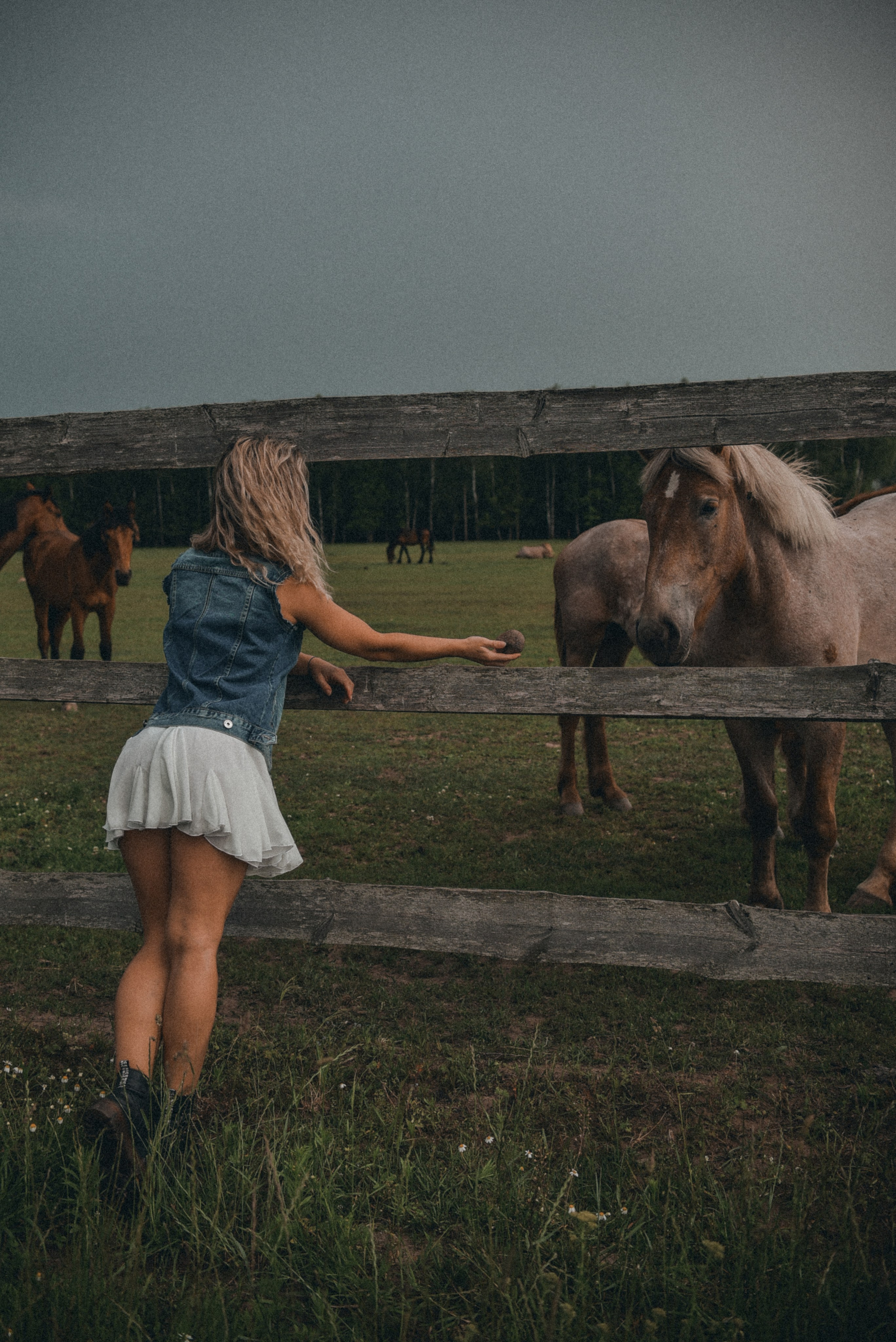 Надя. Семейный фотограф Milena feel it
