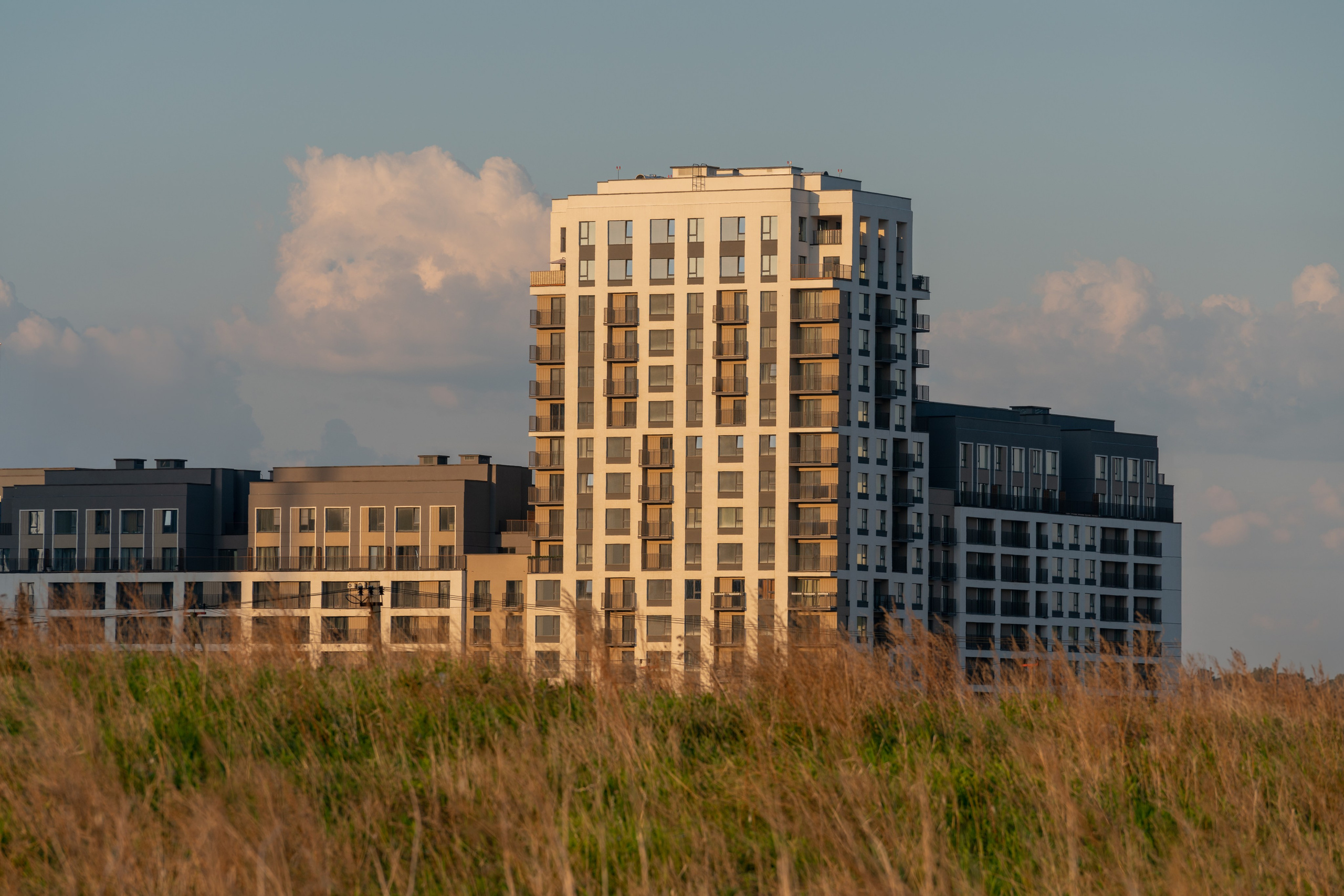 На Академическом | Брусника. Архитектурный фотограф Кирилл Цыбенко. Работаю в Москве, по всей России и Миру