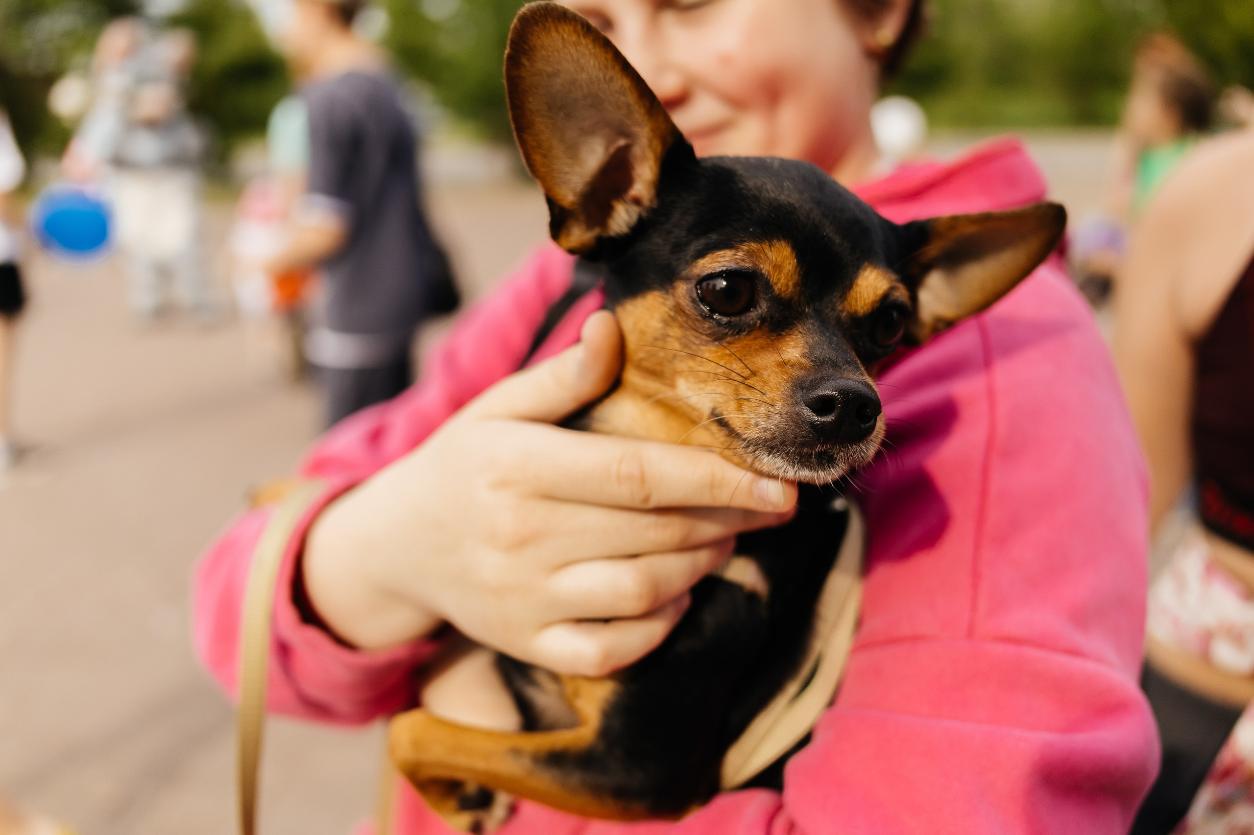 Детский праздник в «Мария — РА». Фотограф Кемерово | Сергей