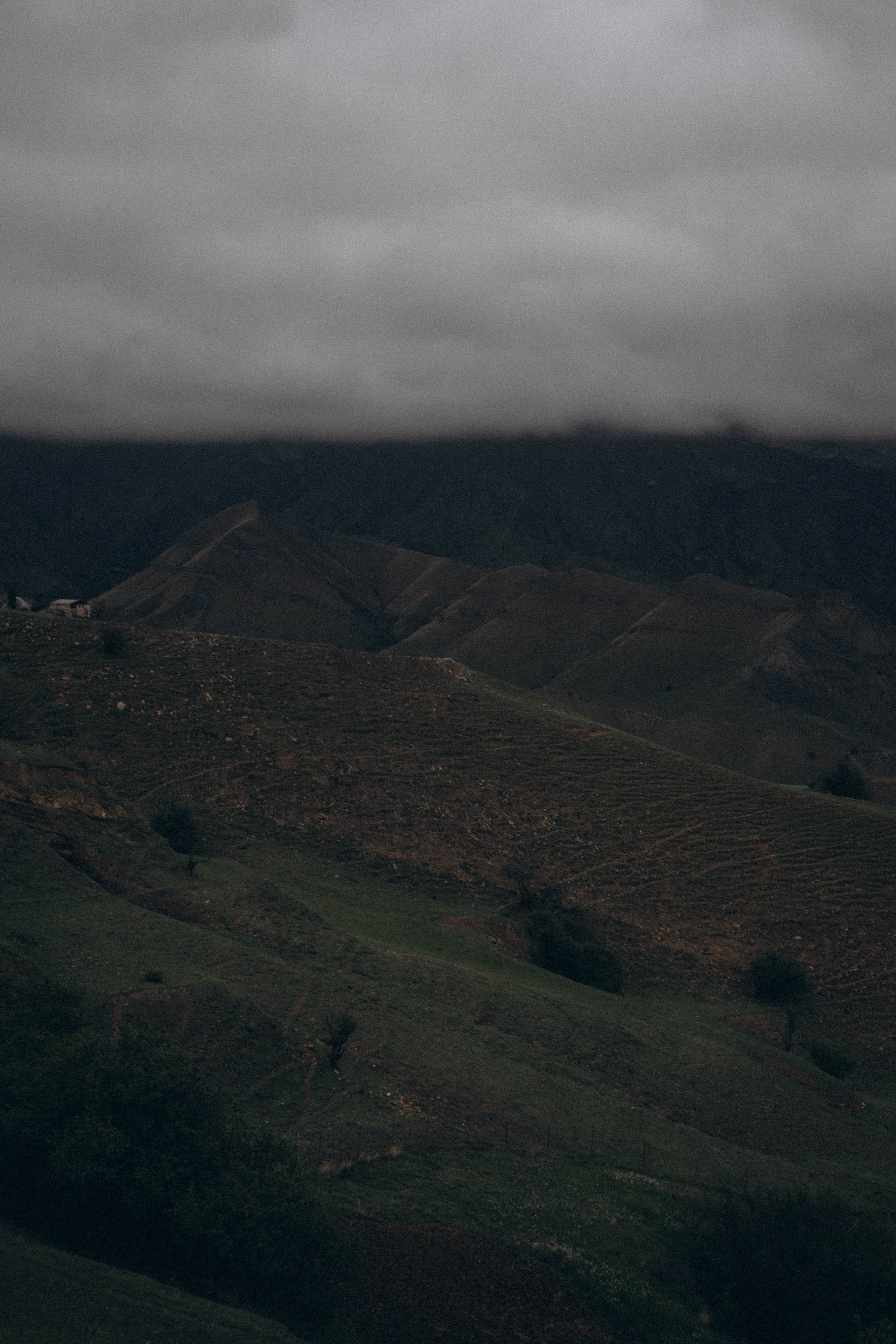 Кавказ. Профессиональный фотограф, Санкт-Петербург — Виктория Богомолова