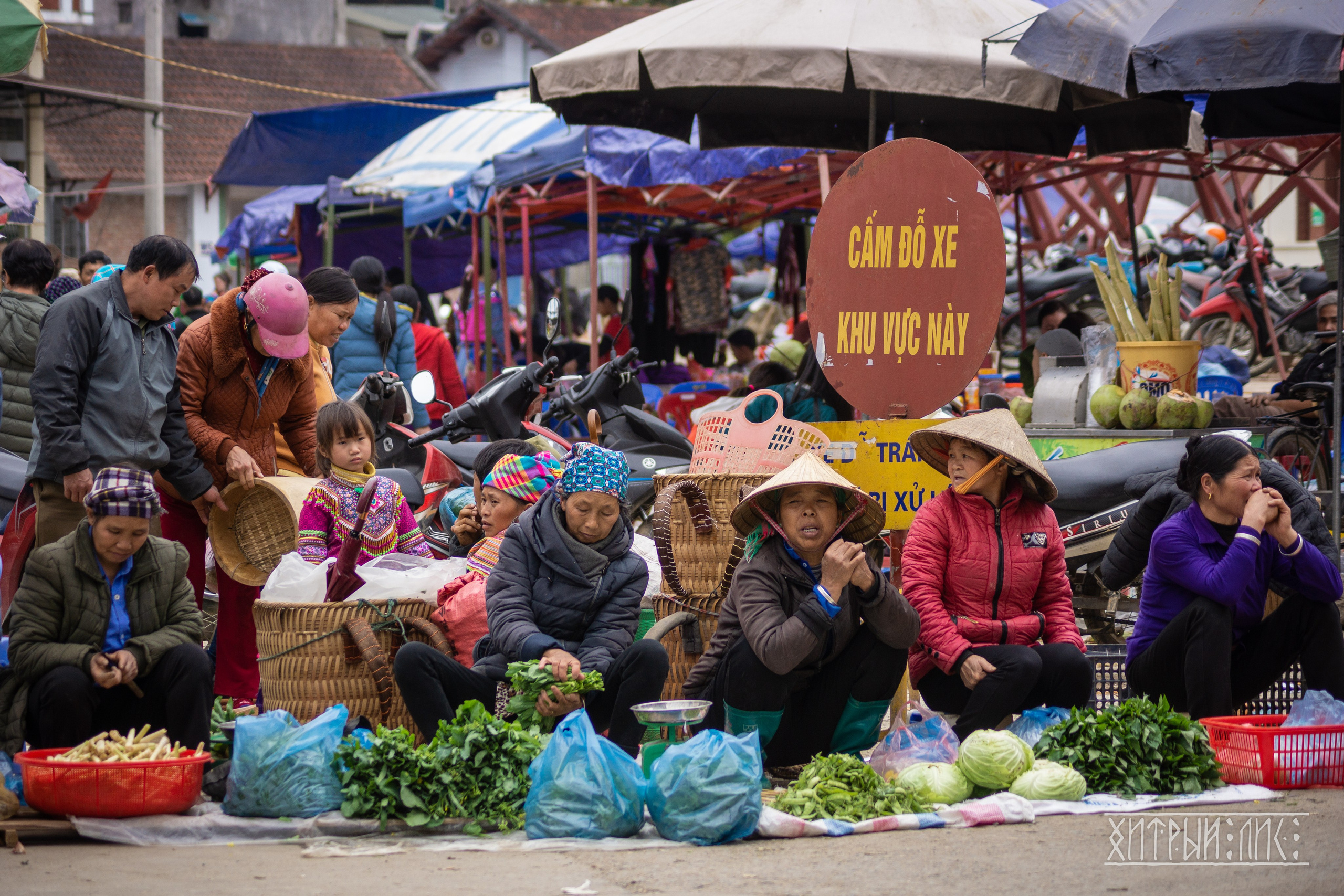Вьетнам. Фотограф-путешественник Самойлов Максим «Sly Fox»