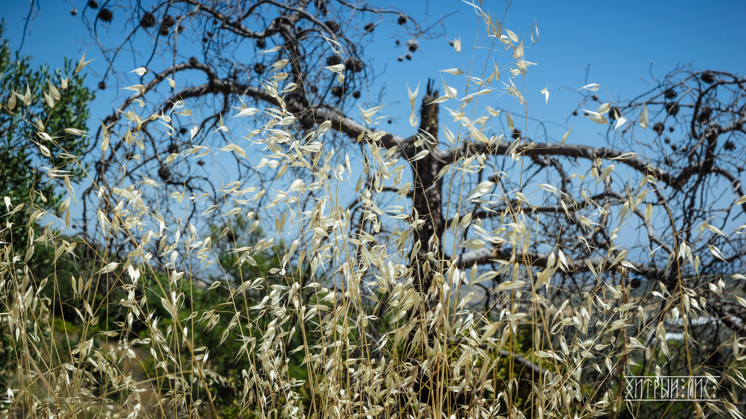 Кипр. Фотограф-путешественник Самойлов Максим «Sly Fox»