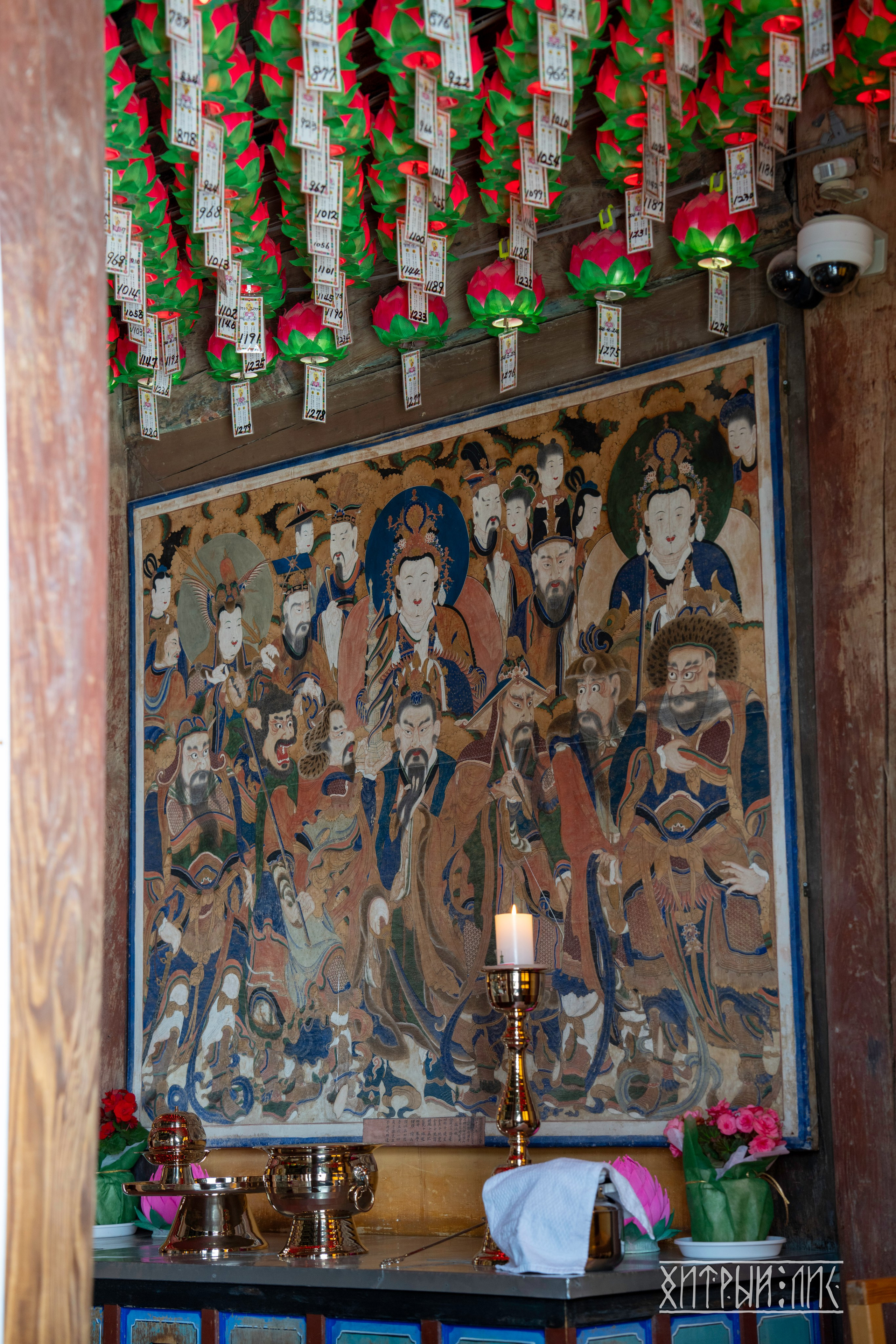 Южная Корея. Фотограф-путешественник Самойлов Максим «Sly Fox»