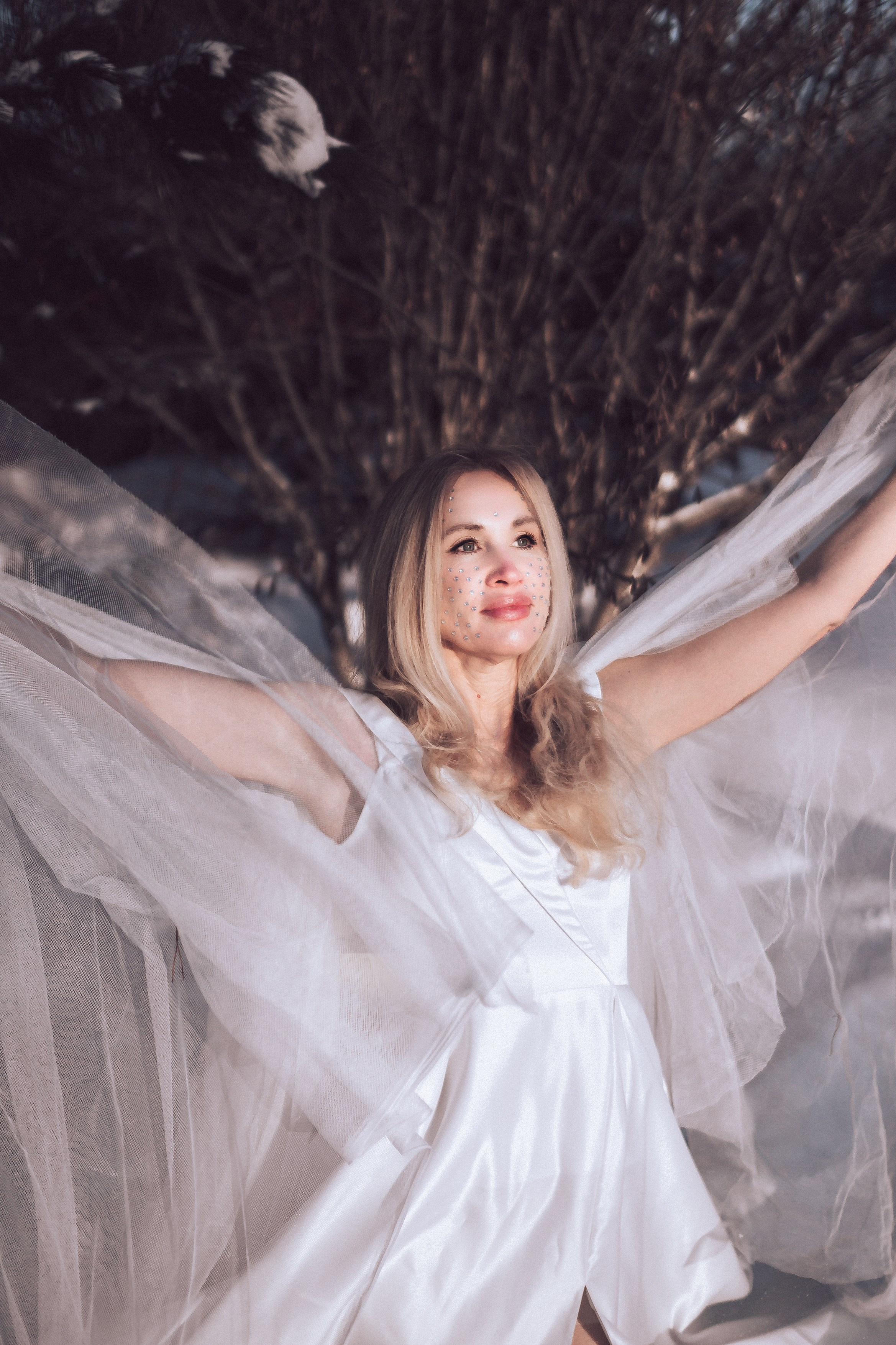 Царевна Лебедь. Светлана Аброщикова