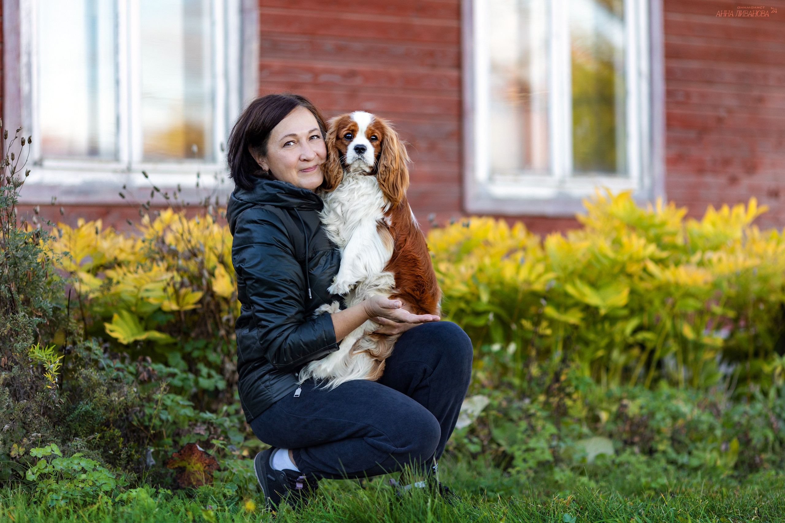 Кавалеры. Фотограф анималист Аня Ливанова | Рыбинск