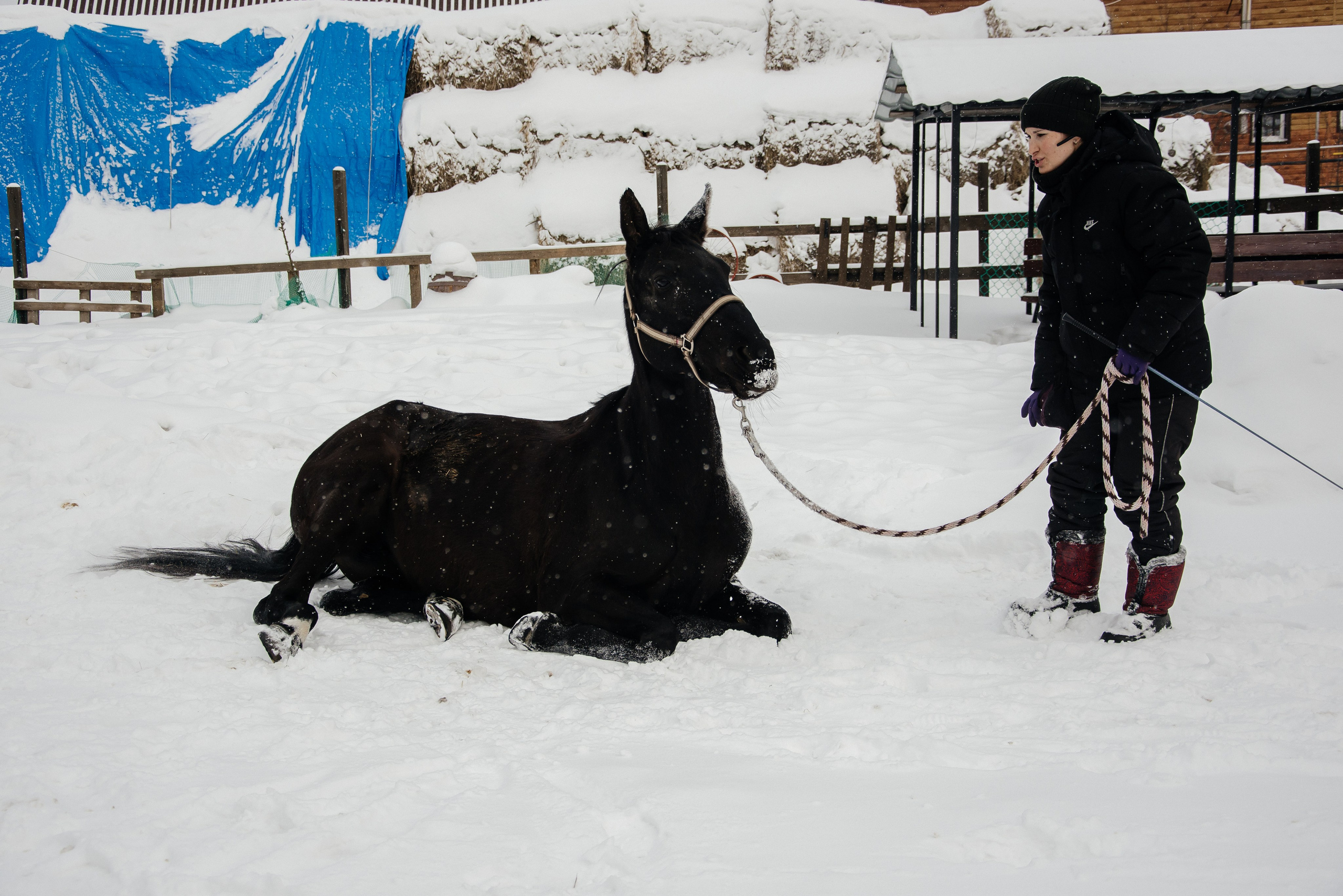Детская прогулка. Фотограф на все случаи