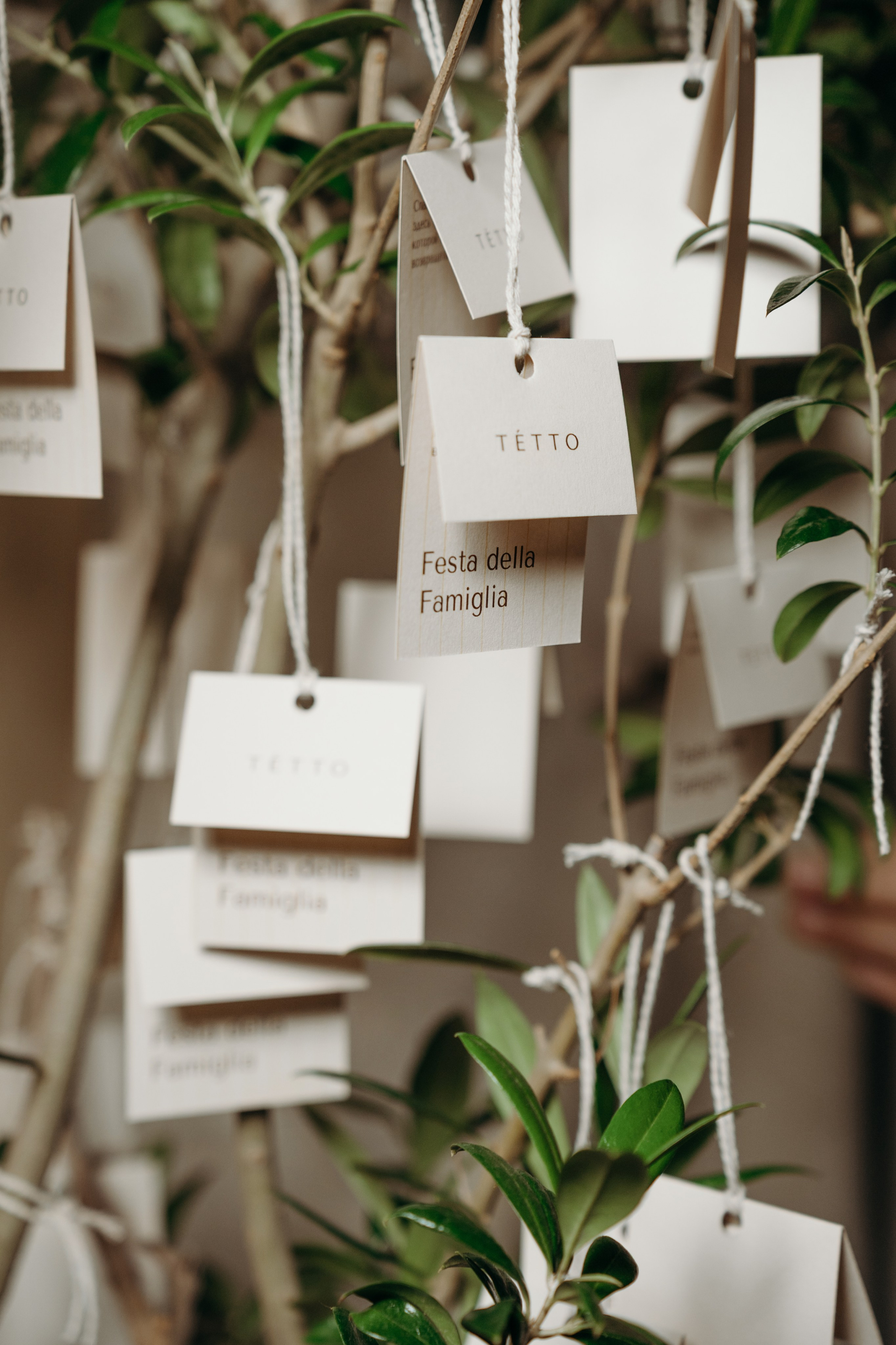 TETTO // День рождения Ресторана. Фотограф Элина Брусенцева