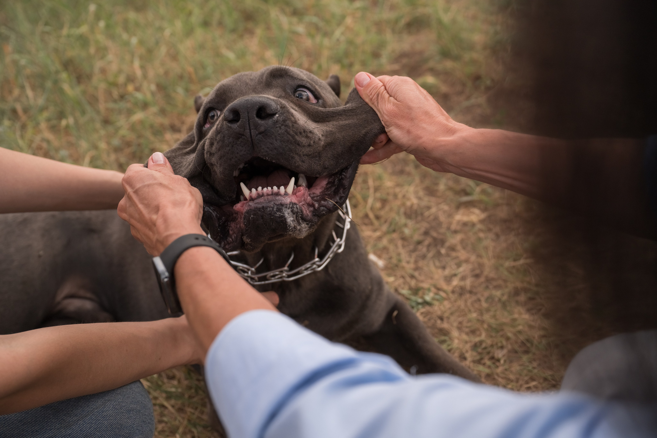 Дина, Яна и Лео. Фотограф Саратов Юлия Петрова
