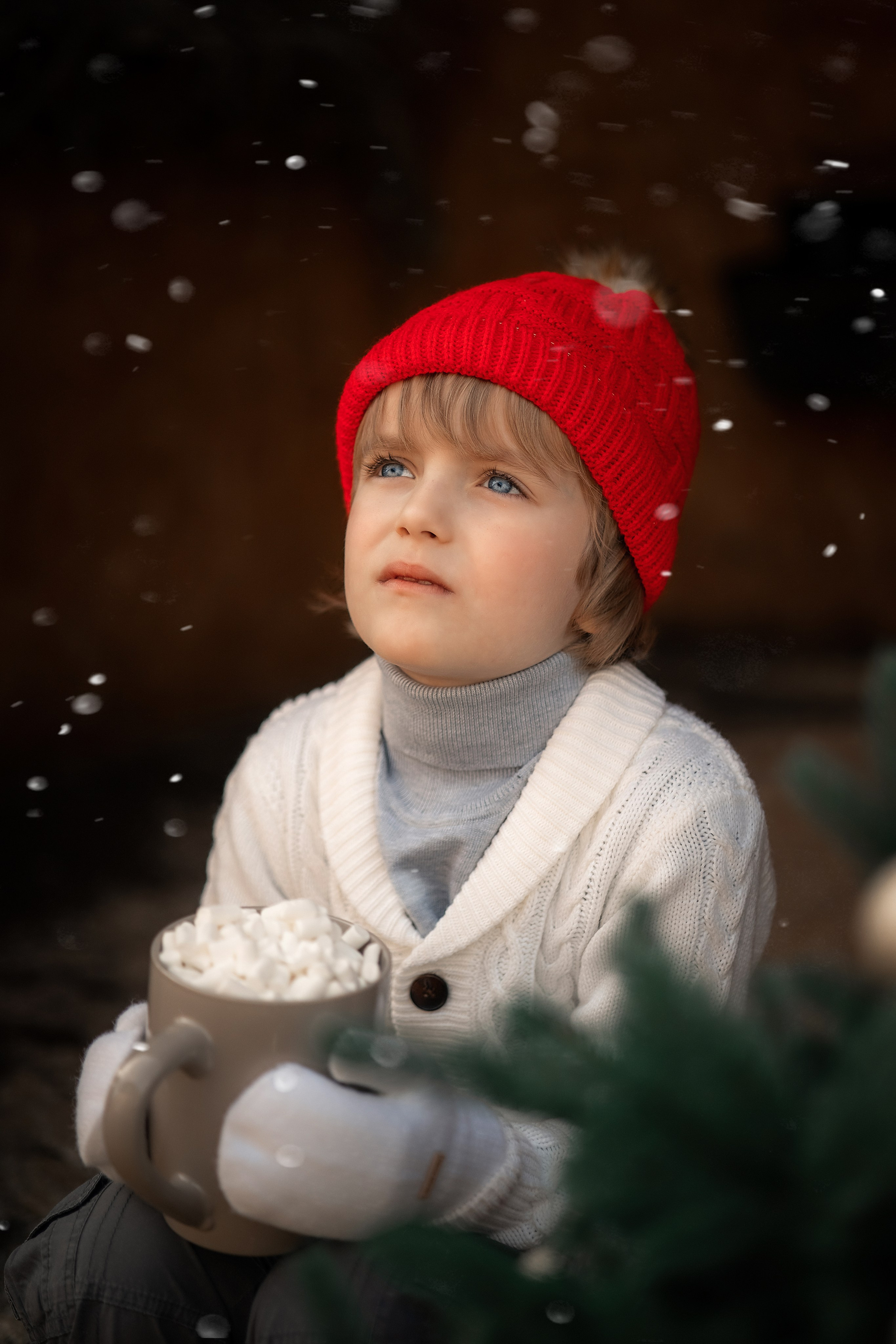 Новогодняя сказка. Художественный фотограф Анапа Александра Долбикова