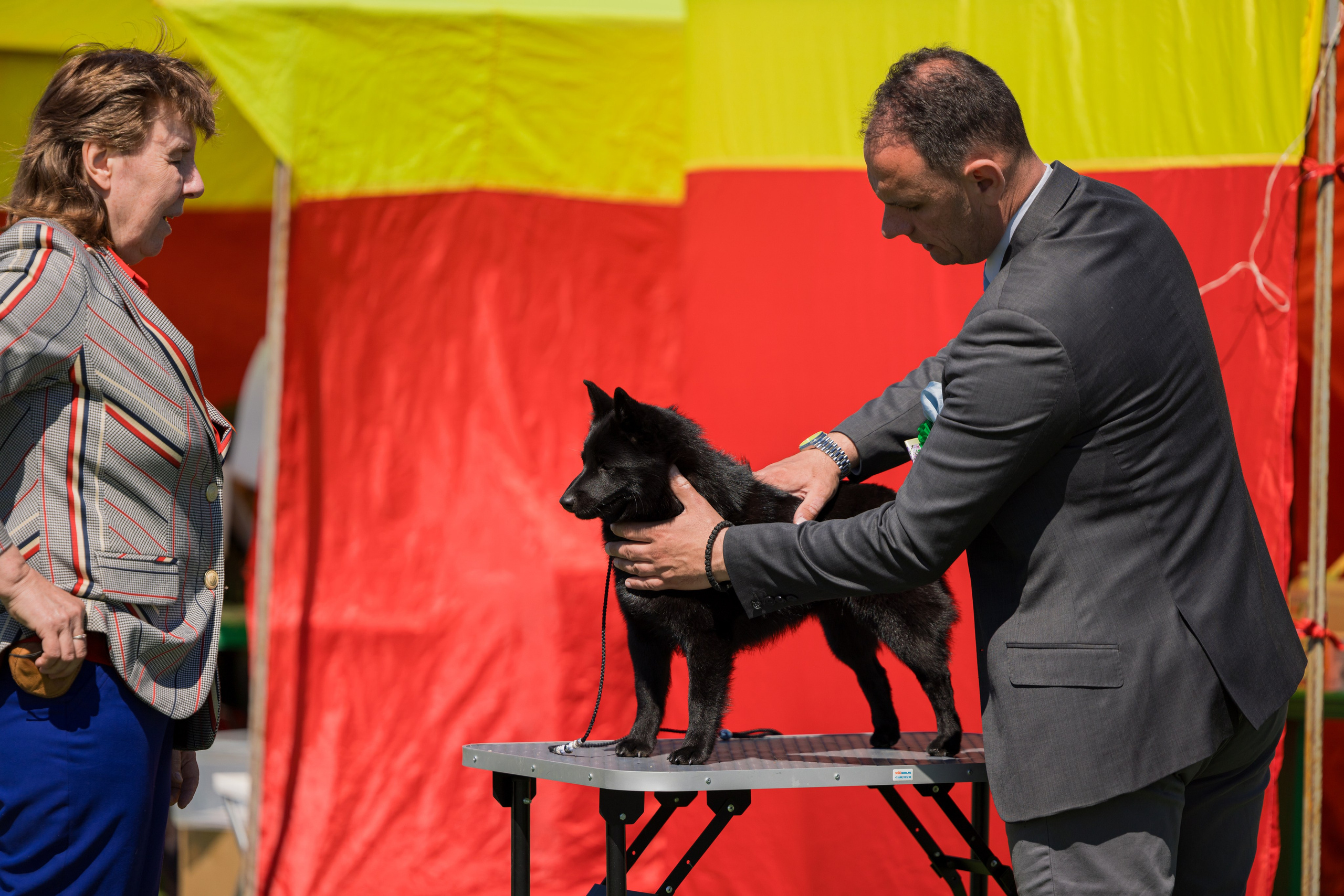 Суздаль 18-19.05.2024. Фотограф-анималист Юлия Германика