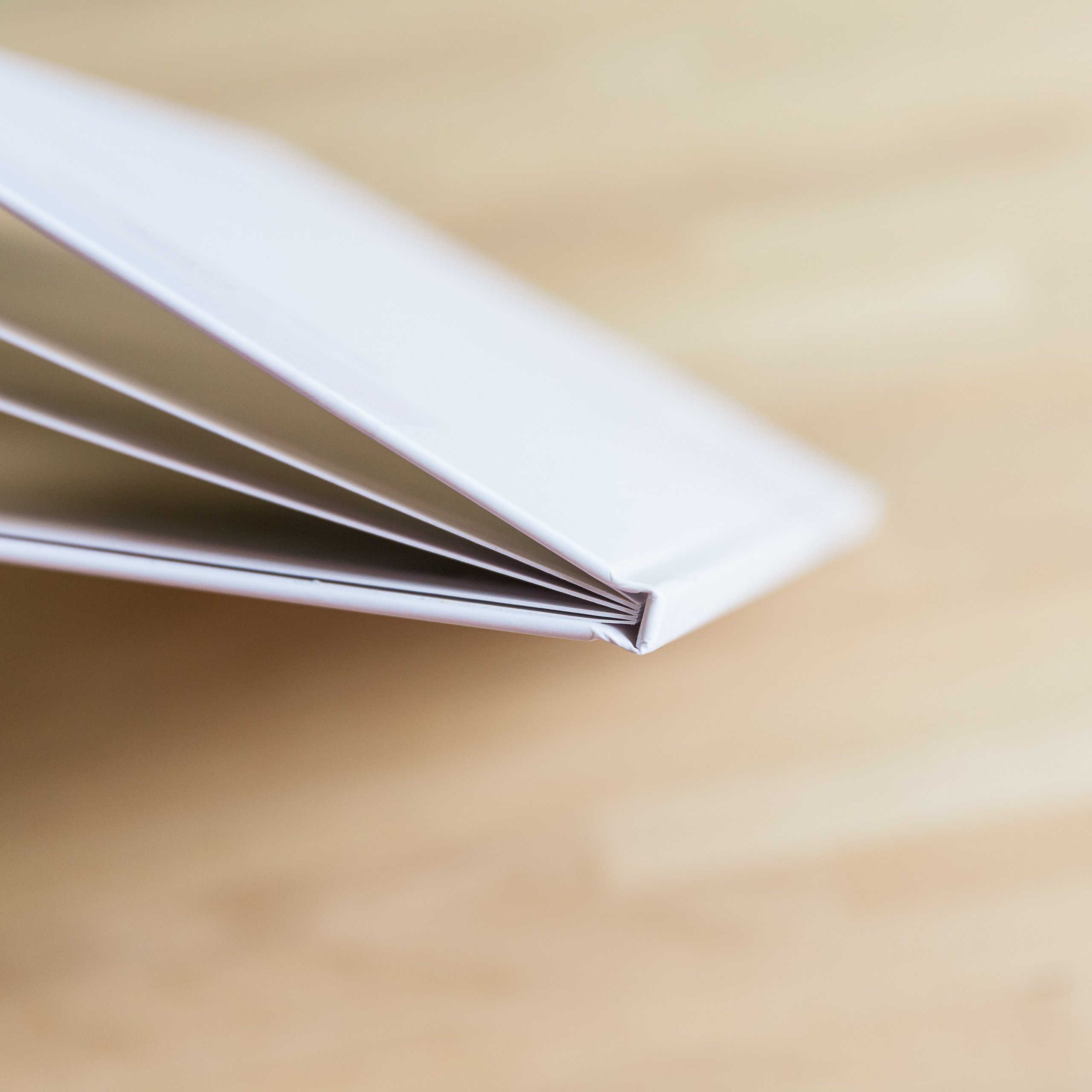 Старшая школа МАСТХЭВ. Школьные фотографы «НЕБУРАТИНО»