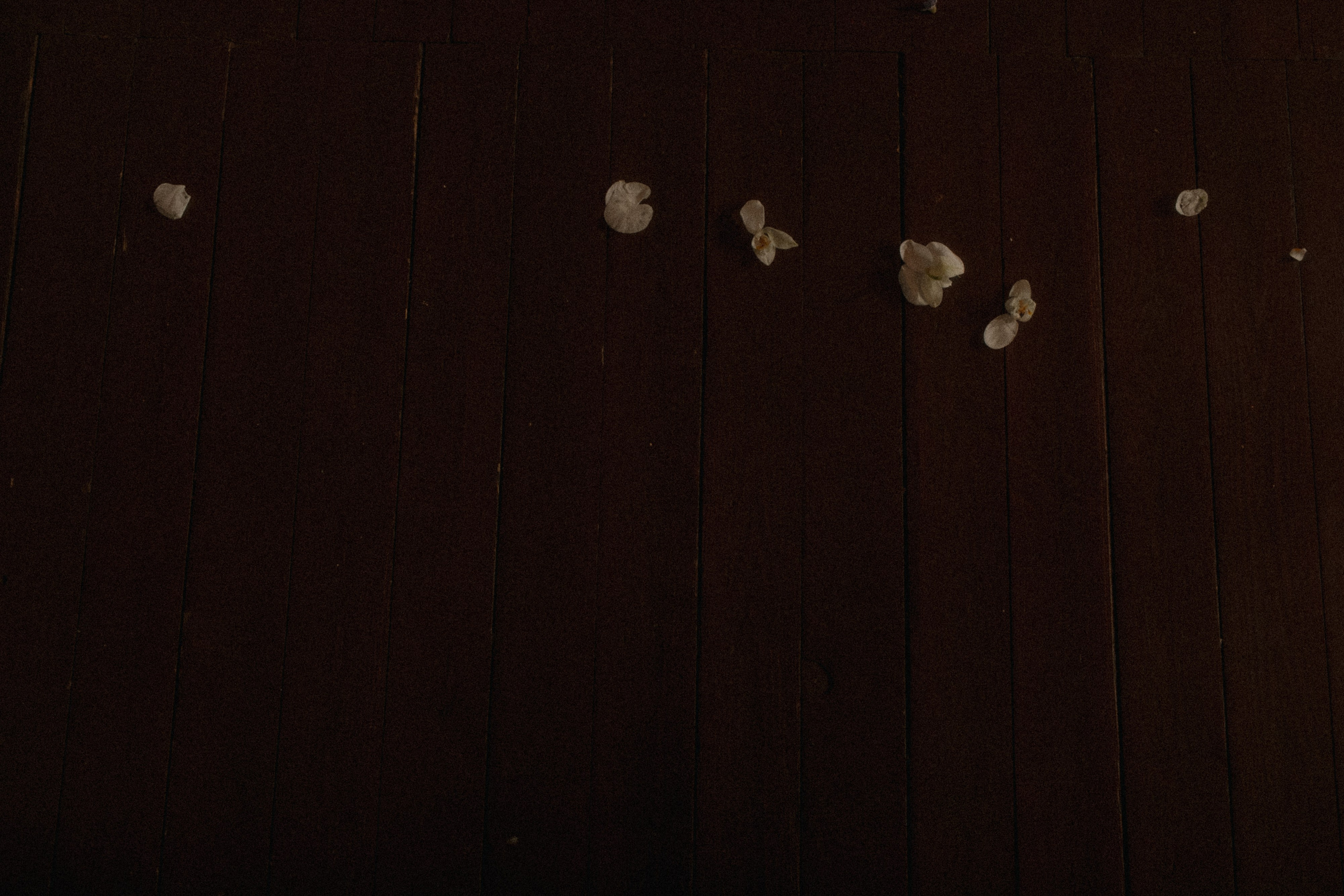 Николай и Елена. Свадебный фотограф Артак Костанян