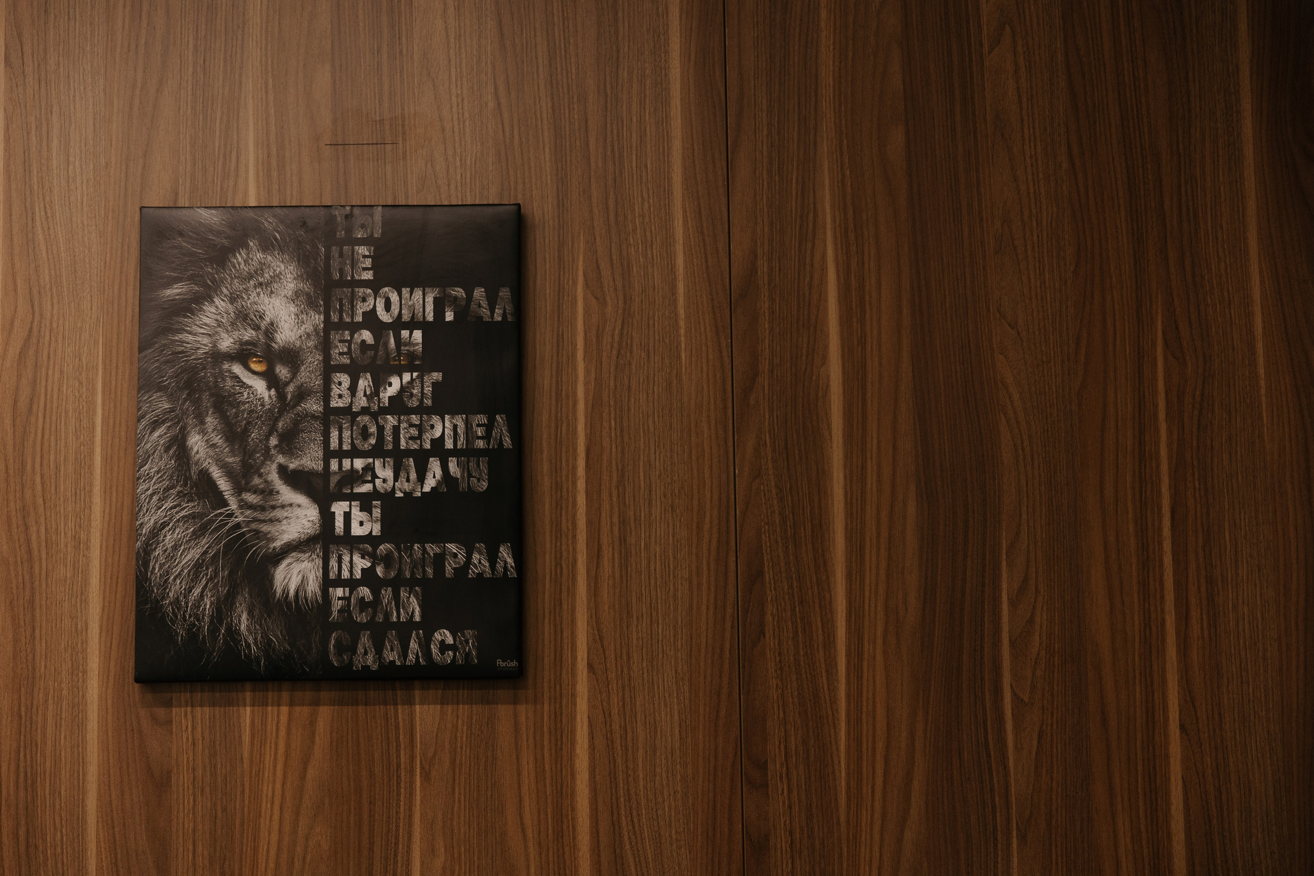 Даша и Игорь. Главная