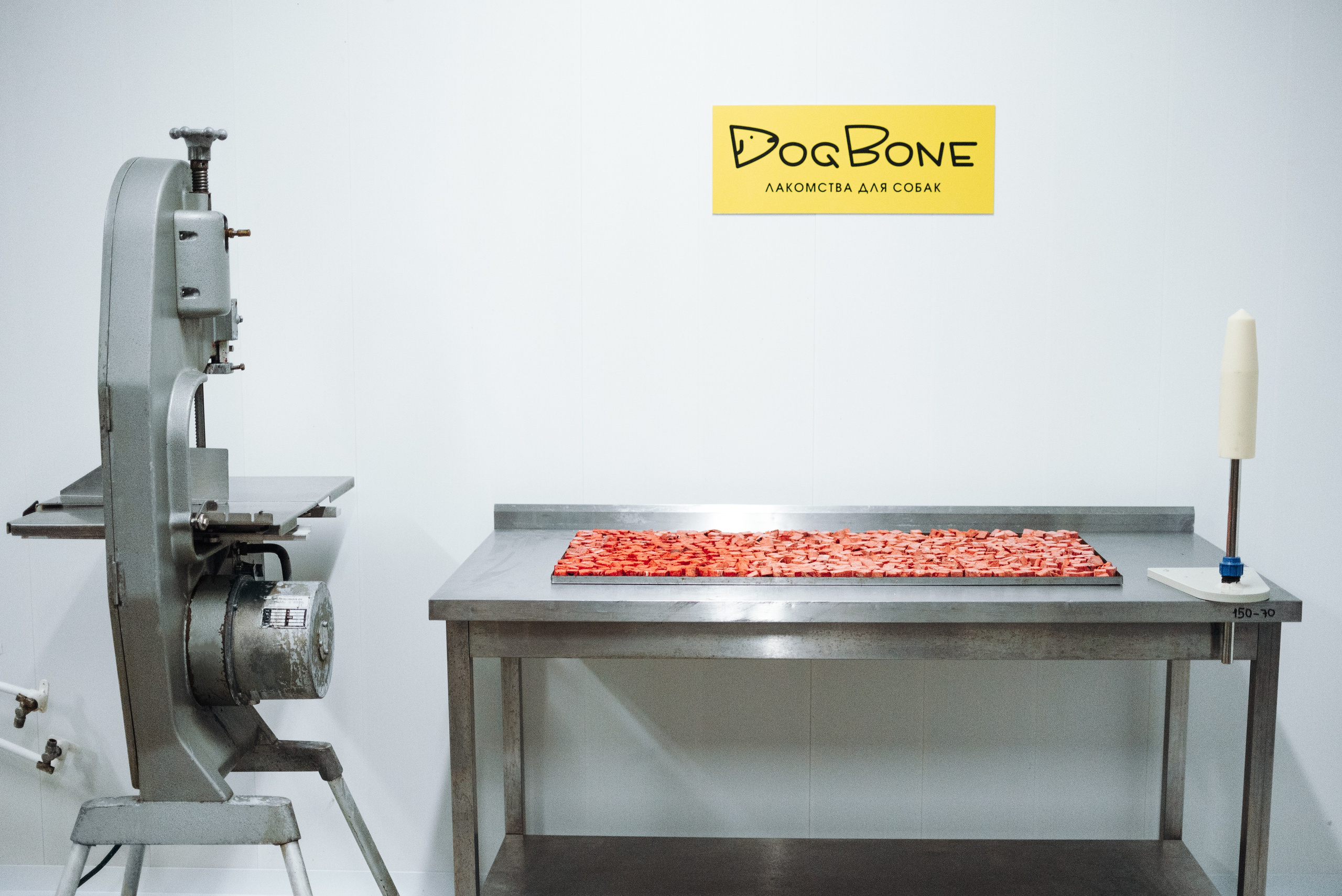 Dog Bone производство. Фотограф-анималист Валерия, Москва, Мытищи