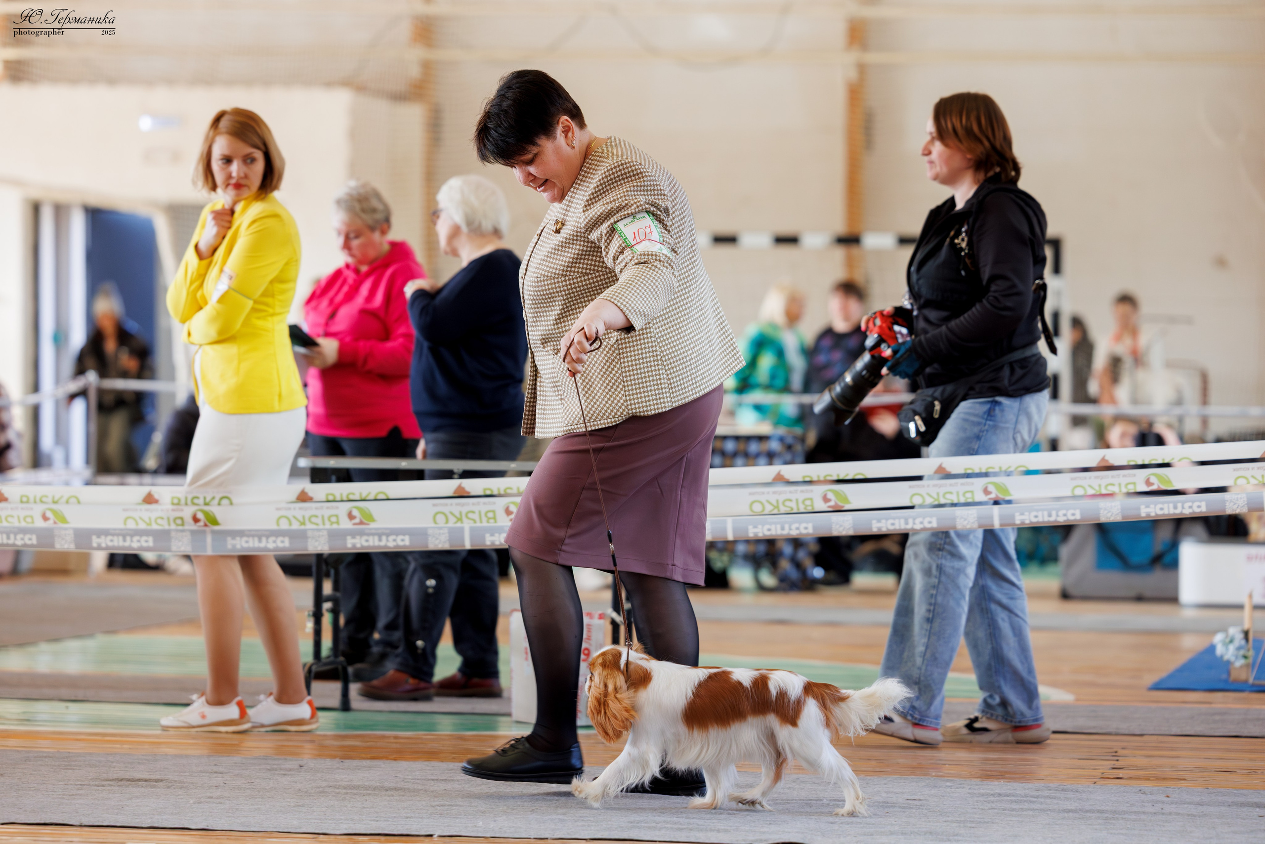 Тверь 12.04,Сфера 13.04,Сергиев Посад 19.04.2025. Фотограф-анималист Юлия Германика
