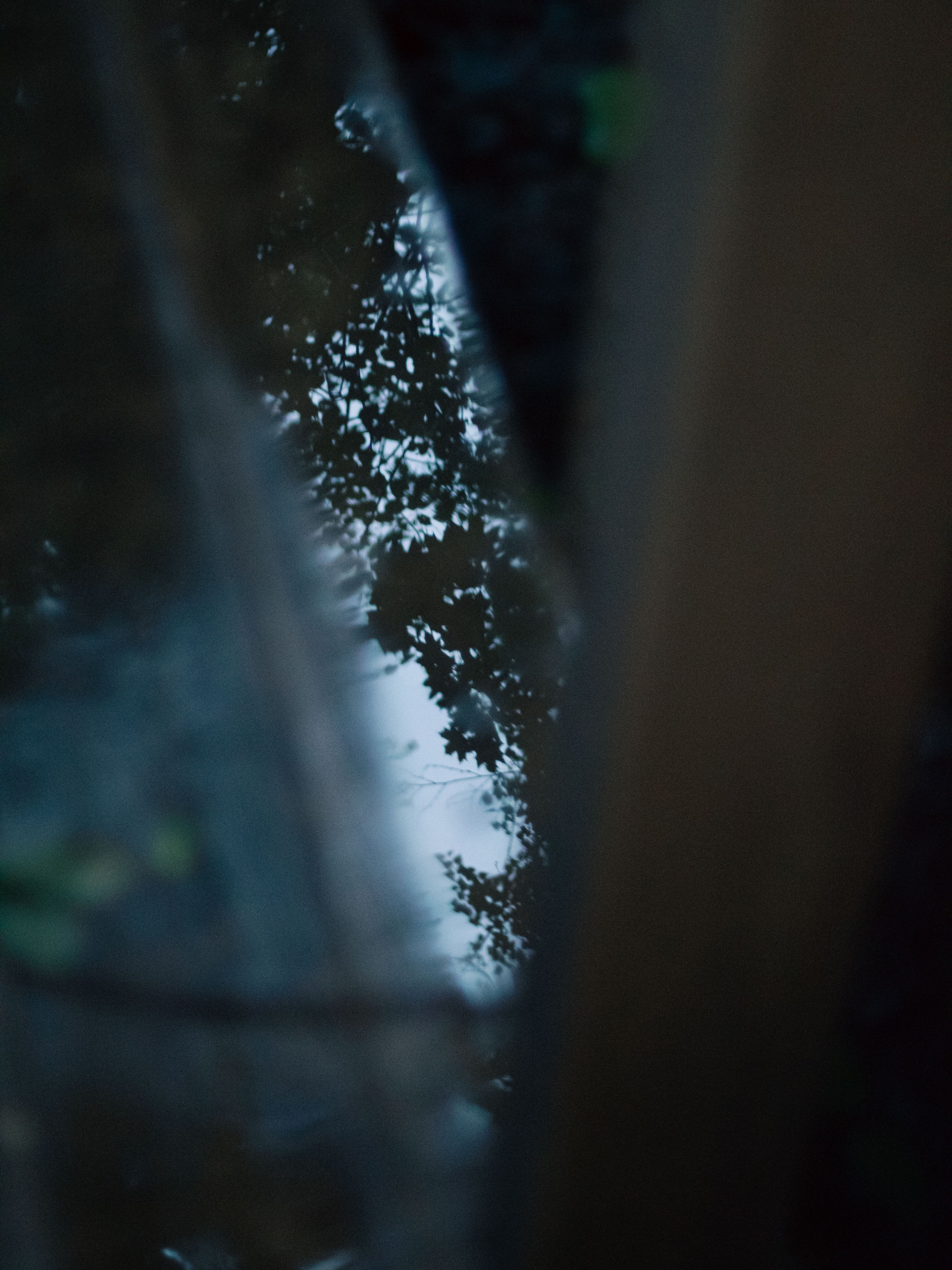 После дождя. Dmitriy [KCCC] is a pretty cool photographer