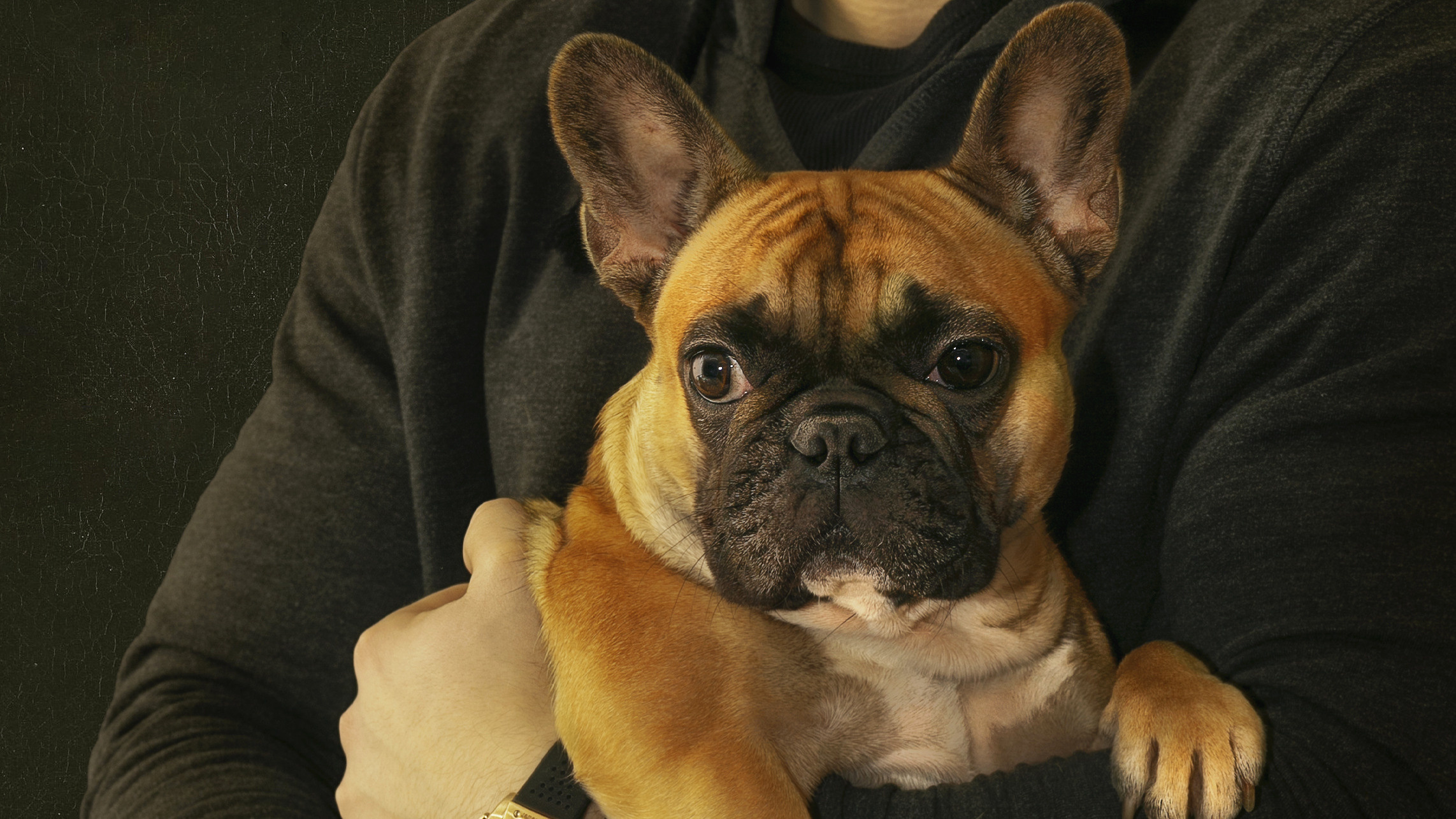 Портретный фотограф в Санкт-Петербурге. Интерьерный фотограф. Фото- видеосъемка недвижимости Санкт-Петербург