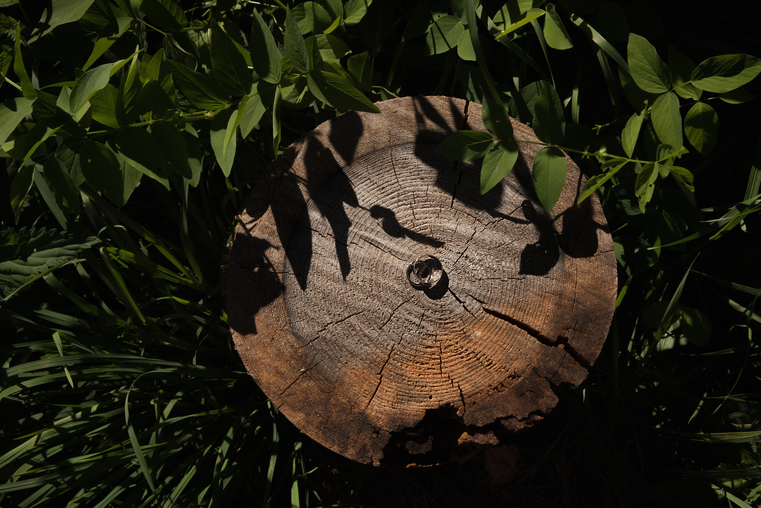 Артём и Ангелина Пешково. Свадебный и портретный фотограф в Москве Мария Кравченко