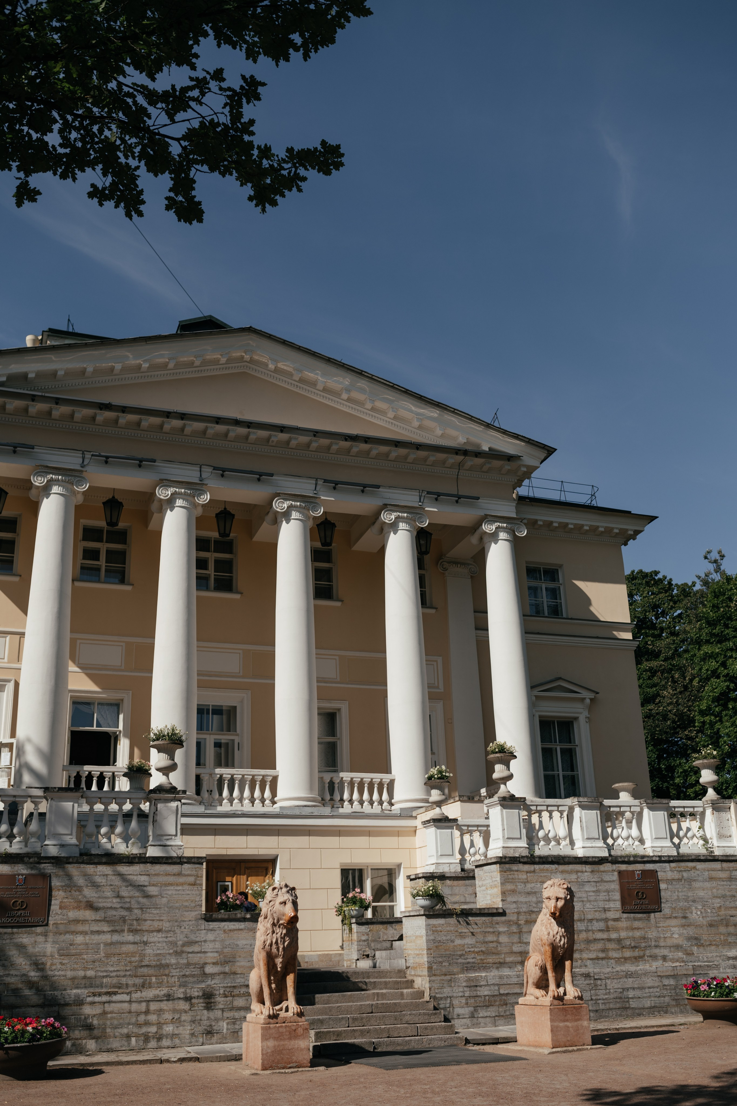 Никита & Владлена. Свадебный и студийный фотограф Ирина Котикова