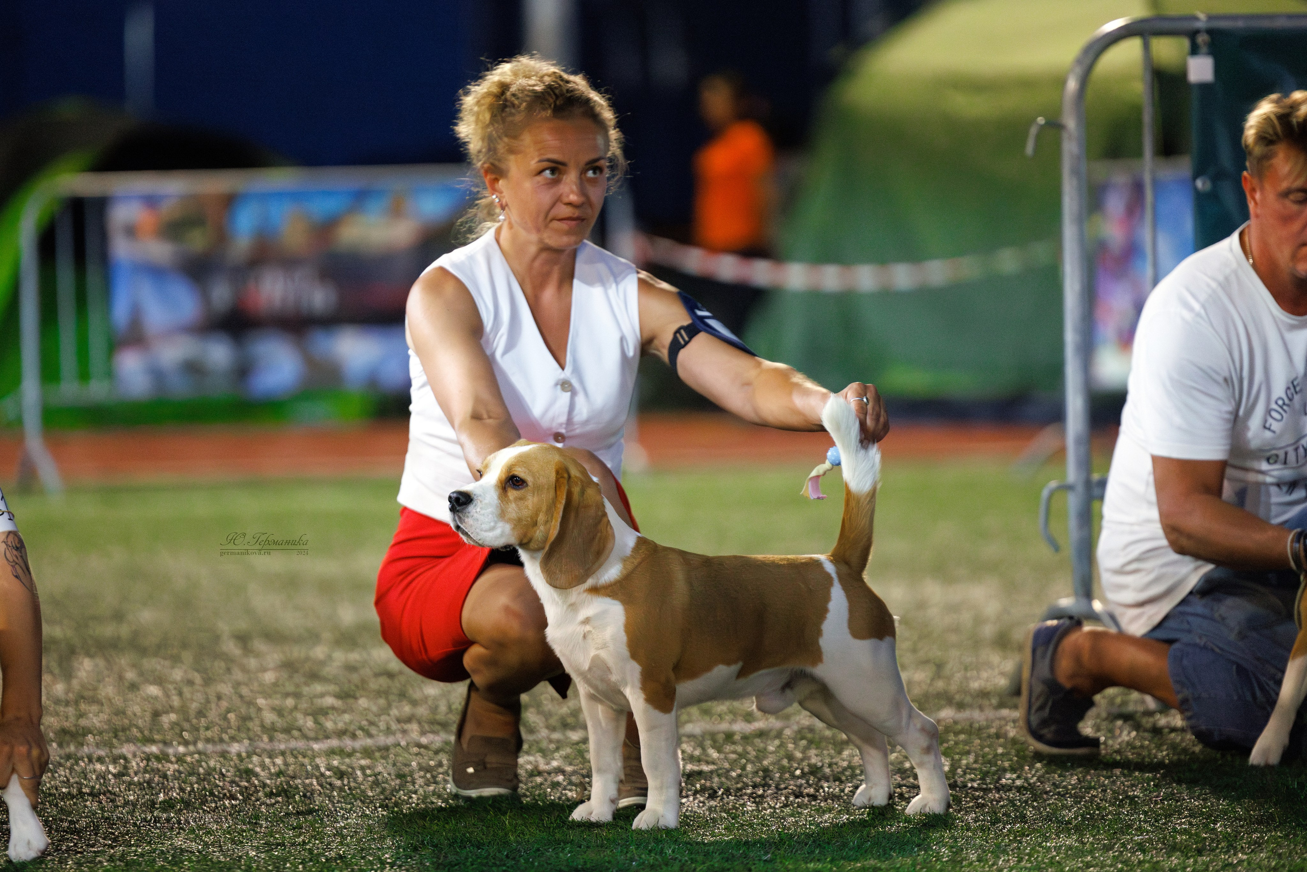 Волгоград 2-4.08.2024. Фотограф-анималист Юлия Германика