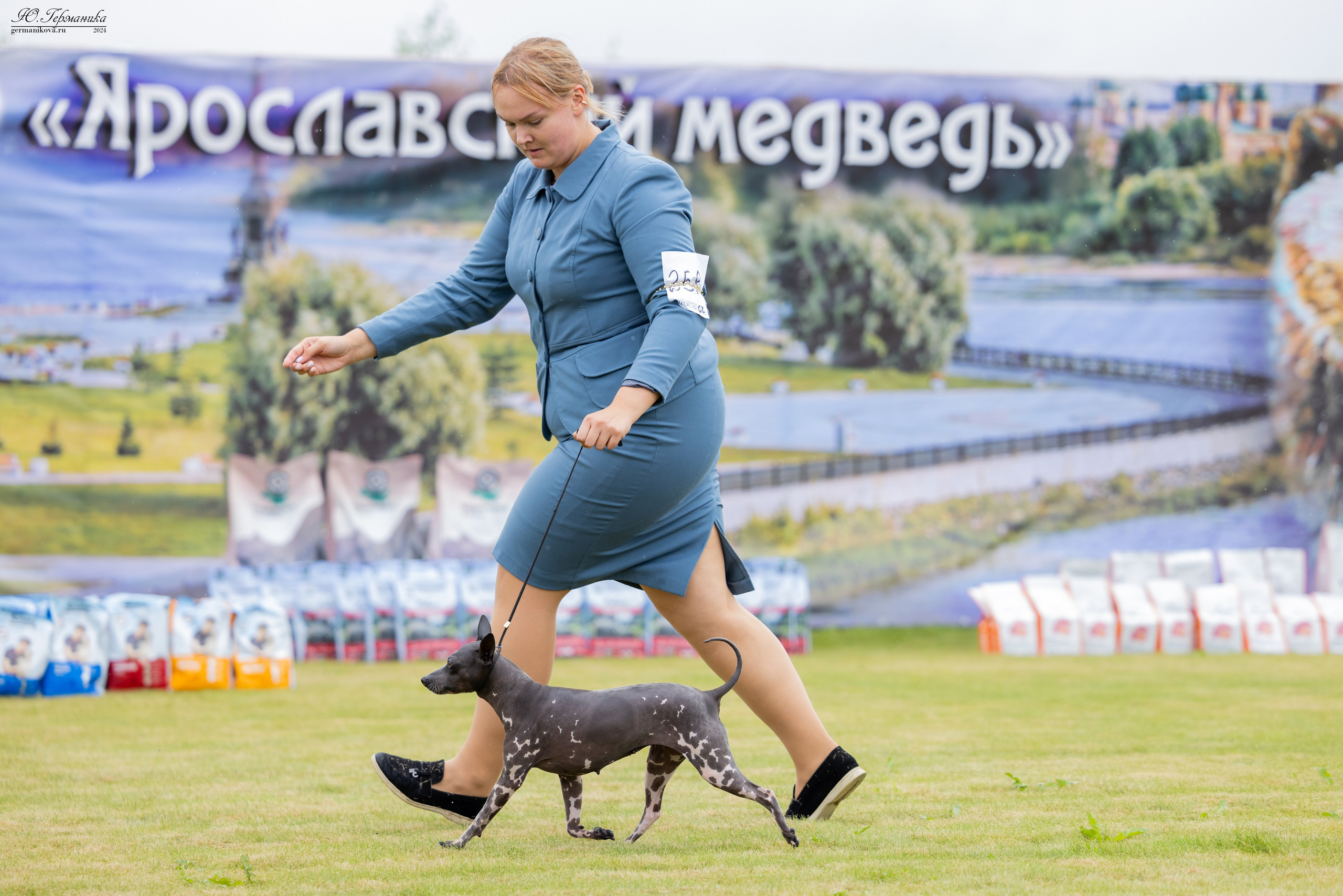 Ярославль 21.07.24 и Балашиха 13.07.24. Фотограф-анималист Юлия Германика