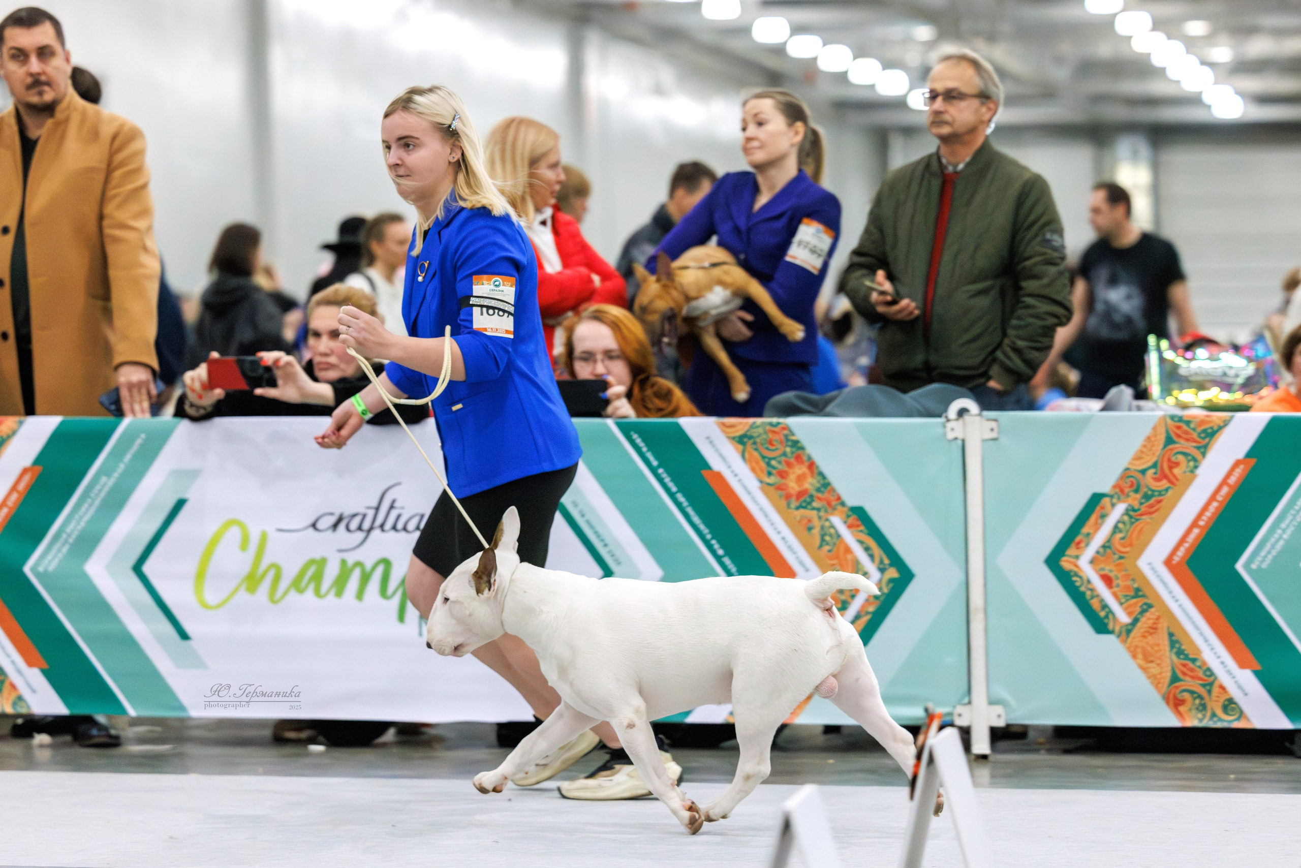 Евразия 15-16.11.2025. Фотограф-анималист Юлия Германика