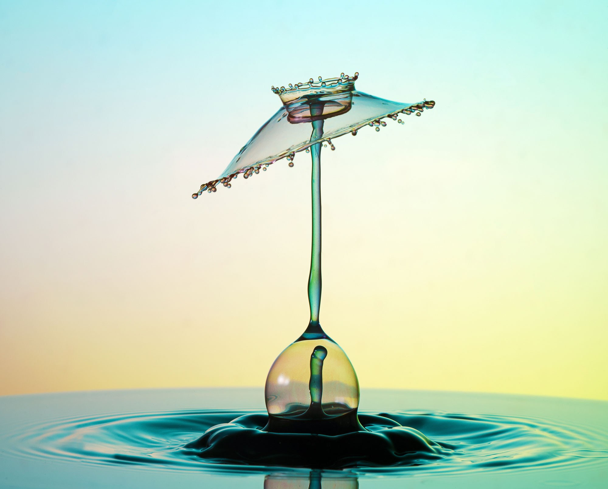 Классические формы. Скульптуры из воды Сергея Толмачева