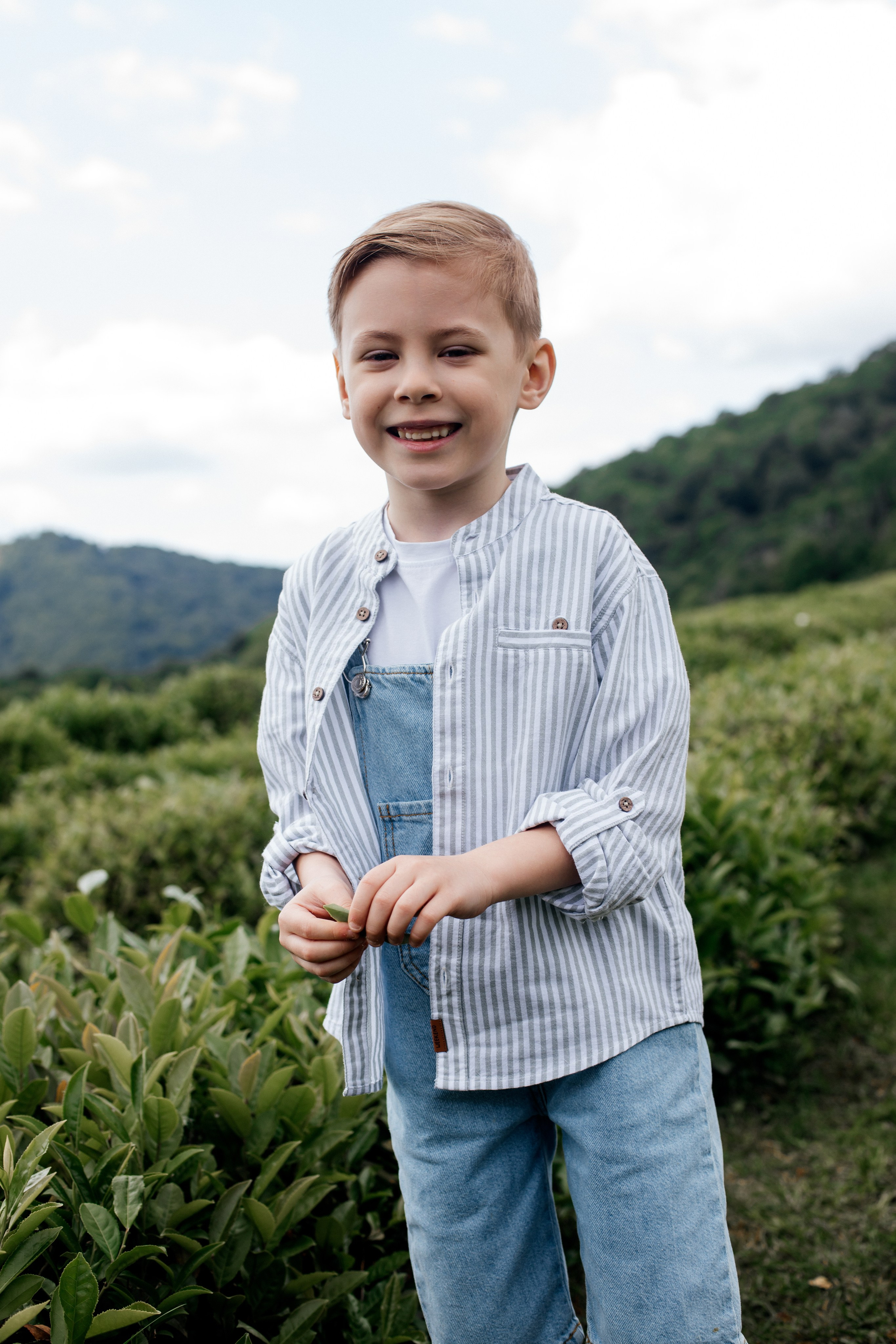 Tea plantation. Efimova Model Agency