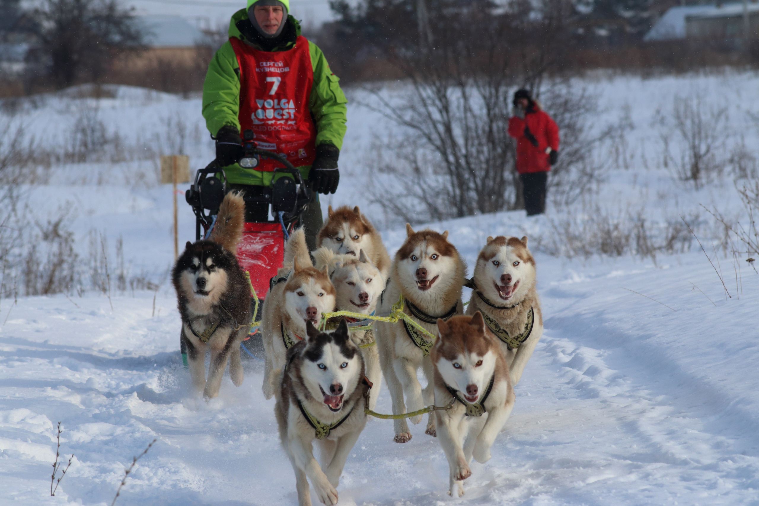 08.02.2020 Ширяево. Гонка на собаках. Фотообъединение Самарского областного отделения Союза журналистов России
