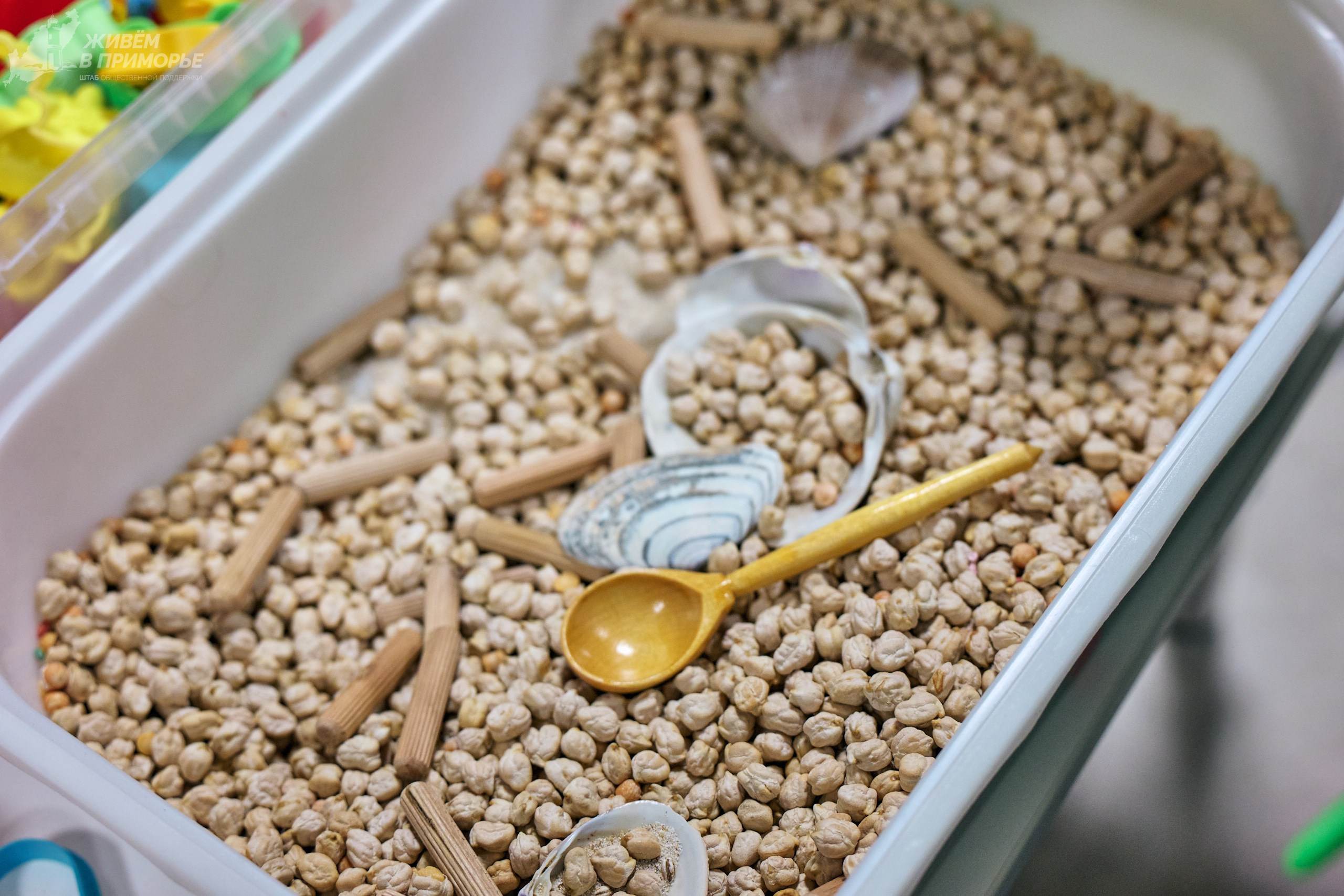 Ярмарка образования 2025.03.16. Профессиональный репортажный фотограф Инесса Иминова