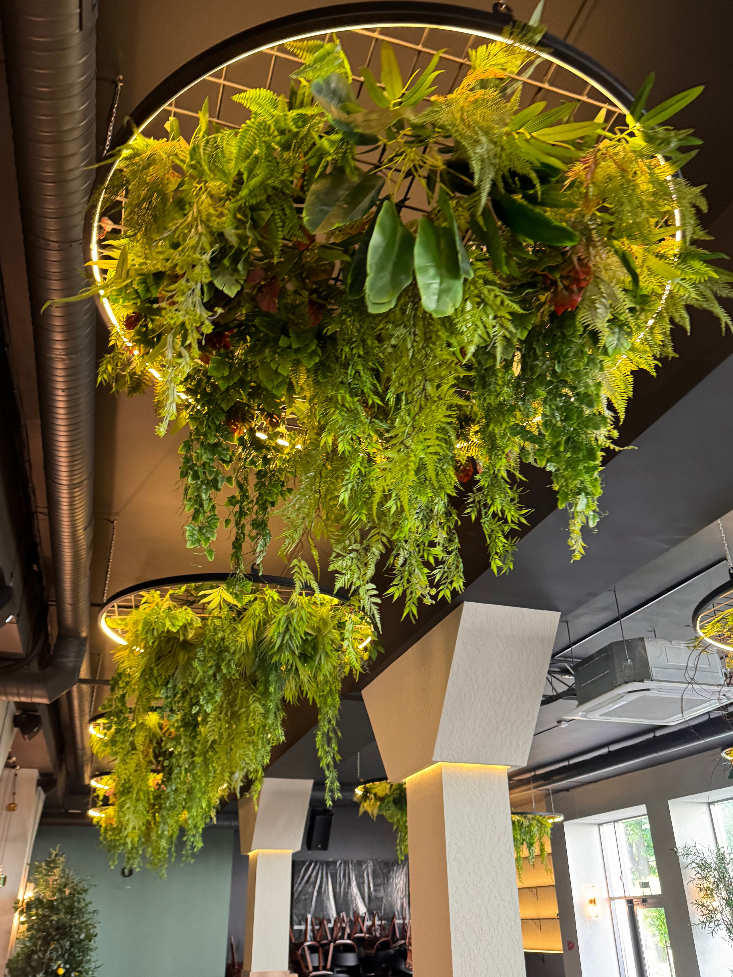 Декоративное озеленение потолка, Декоратор Алёна Шевелёва, Минск