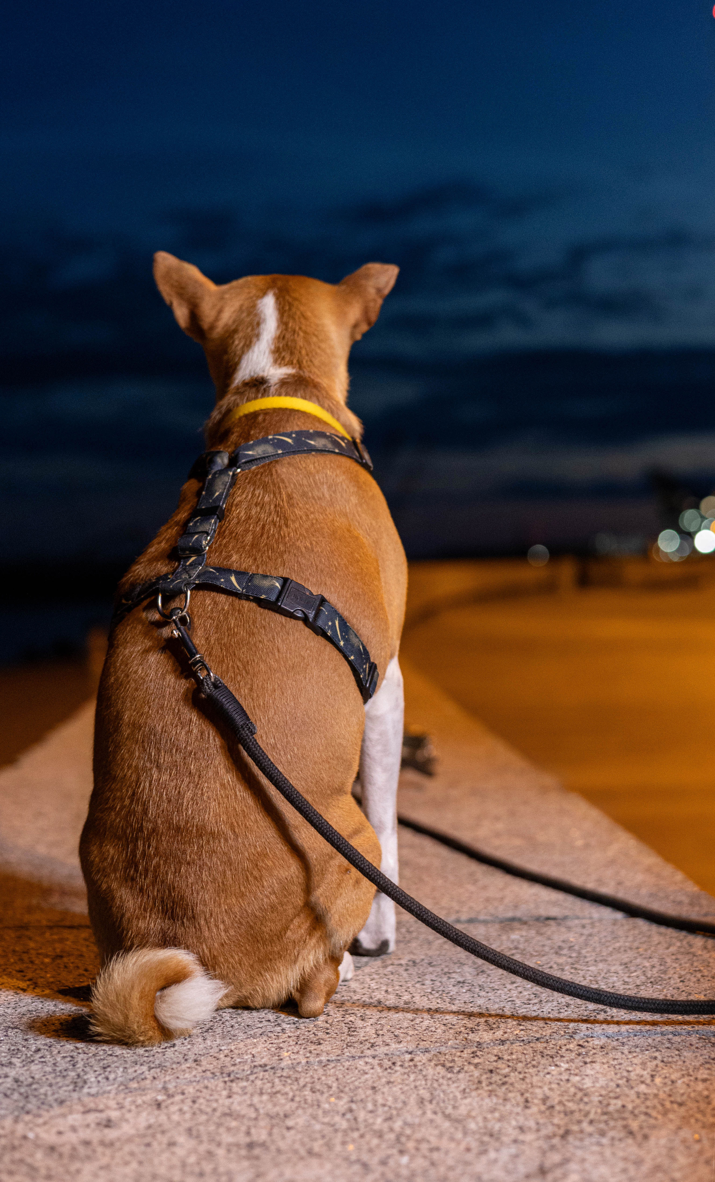 Мария Парк 300-летия. Репортажный, Event фотограф в Санкт-Петербурге и ЛО Морозов Дмитрий