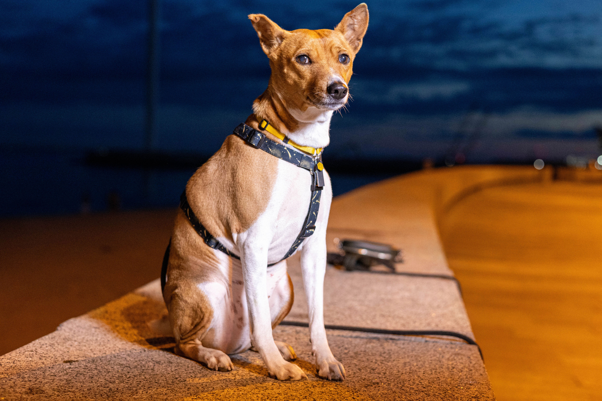 Мария Парк 300-летия. Репортажный, Event фотограф в Санкт-Петербурге и ЛО Морозов Дмитрий