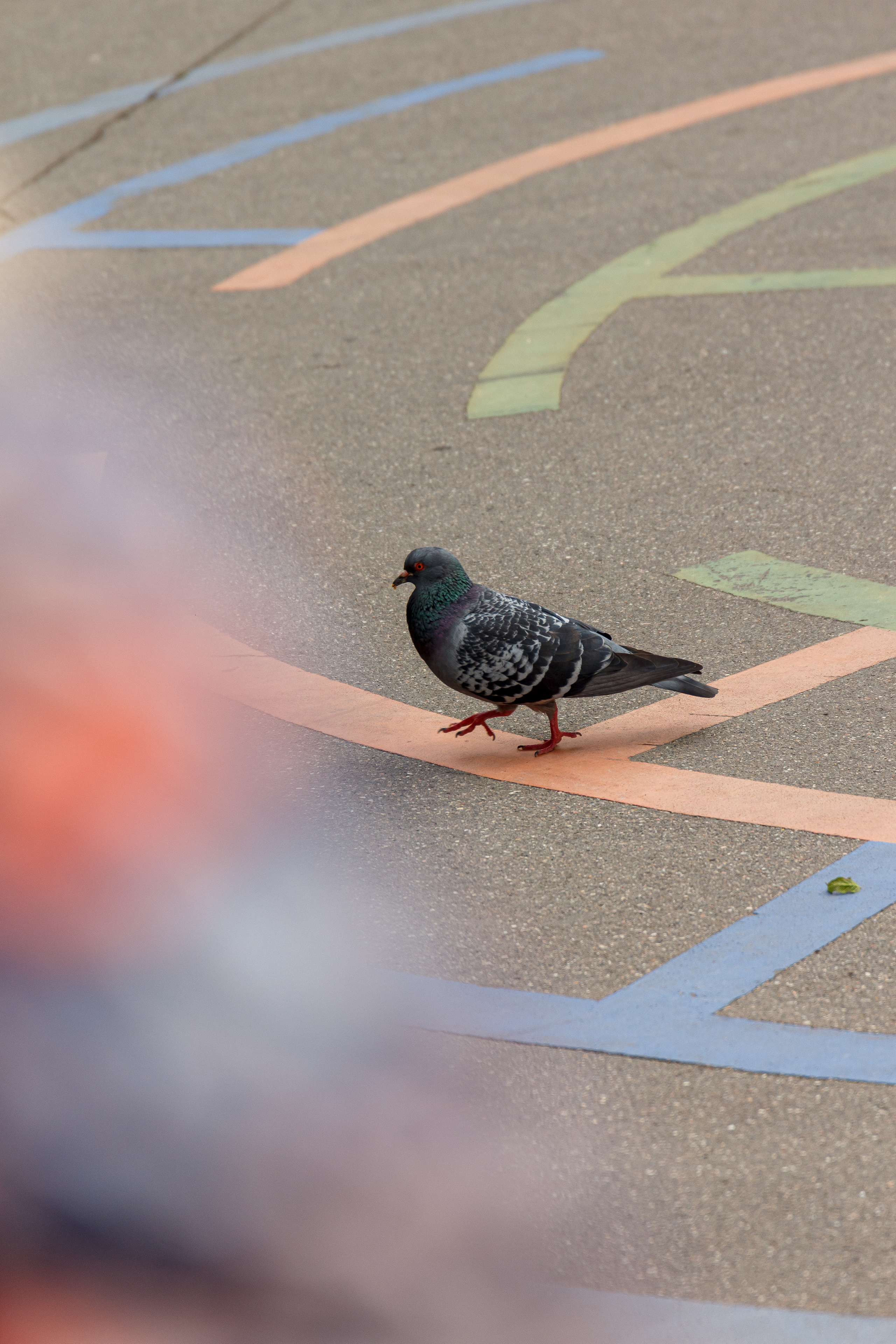 Г. Москвы ГБУК Окц ЦАО Культурный центр Новослободский Награждение. Репортажный, Event фотограф в Санкт-Петербурге и ЛО Морозов Дмитрий