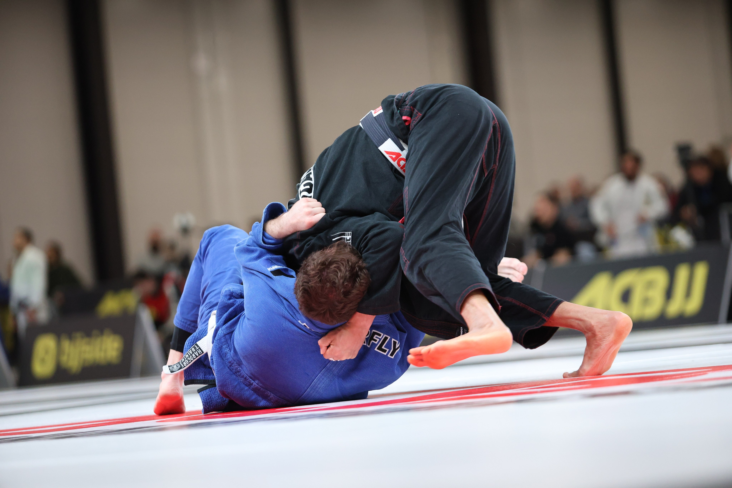 ACBJJ WORLD CHAMPIONSHIP 2023. Репортажный, Event фотограф в Санкт-Петербурге и ЛО Морозов Дмитрий