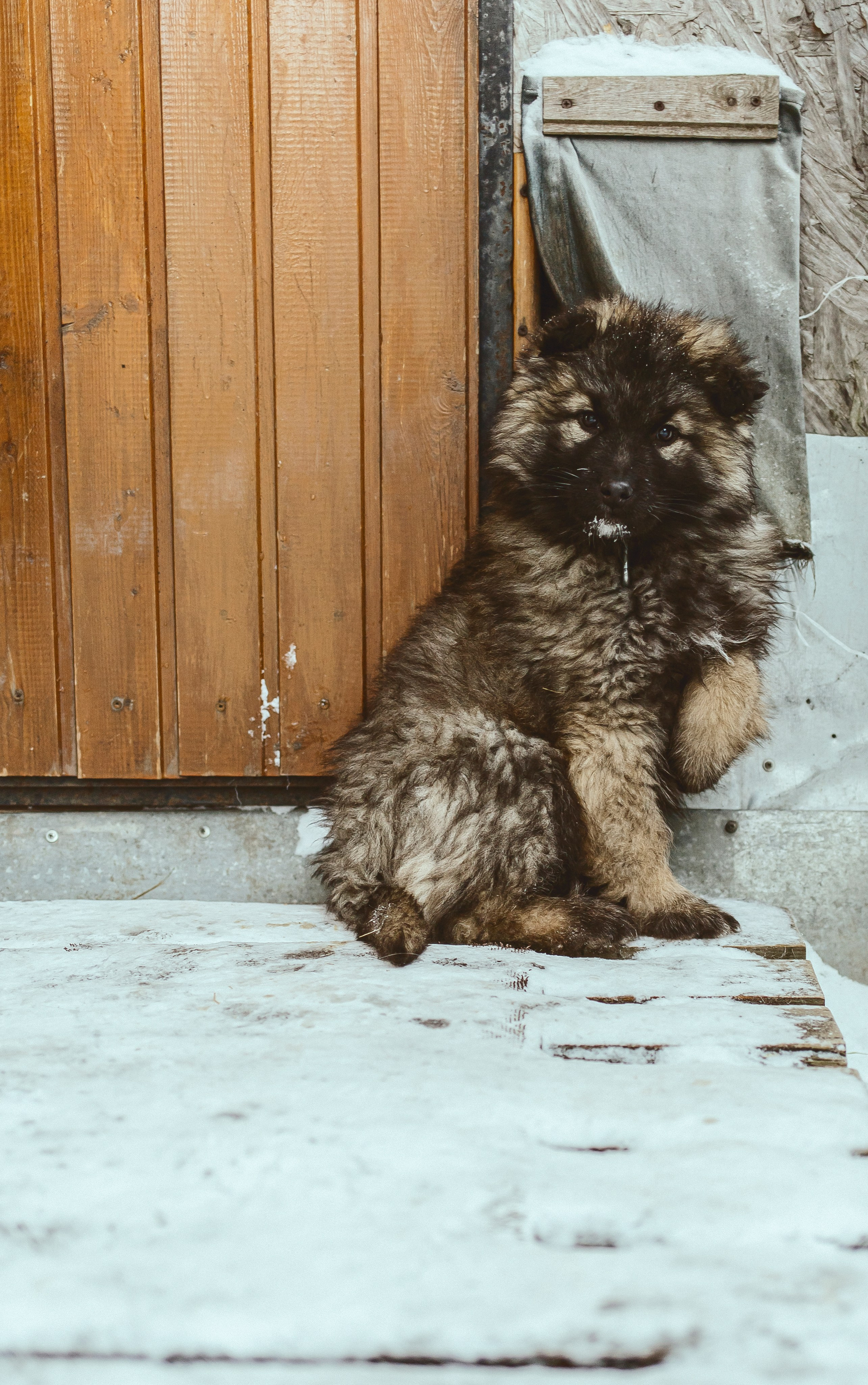Валентина, Анатолий и Дик. Ульяновка 2023. Фотограф Наталья Шпиллер Санкт-Петербург